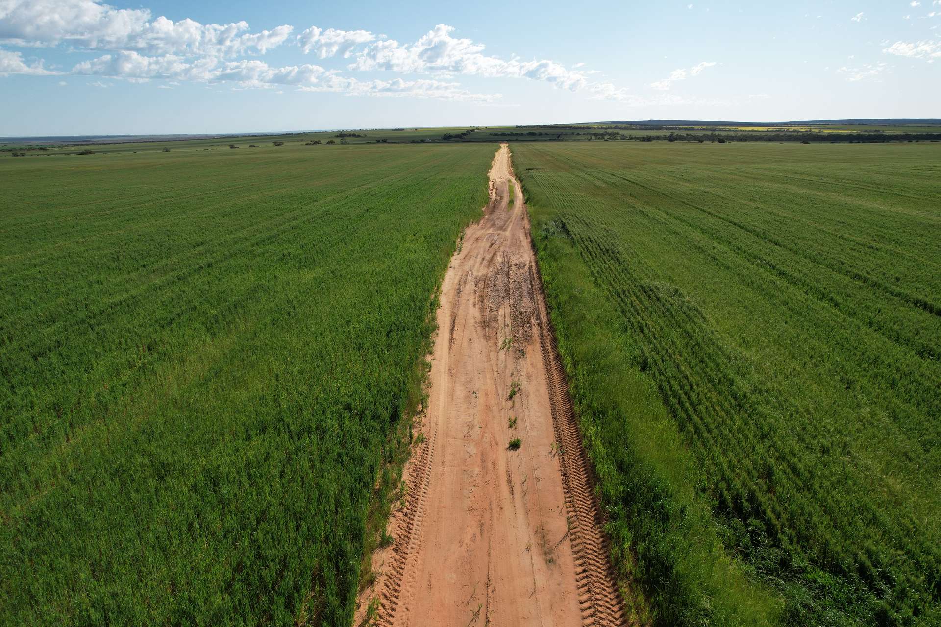 Tenindewa Williamson Road, Mullewa Sold by Farmbuy.com - image 2
