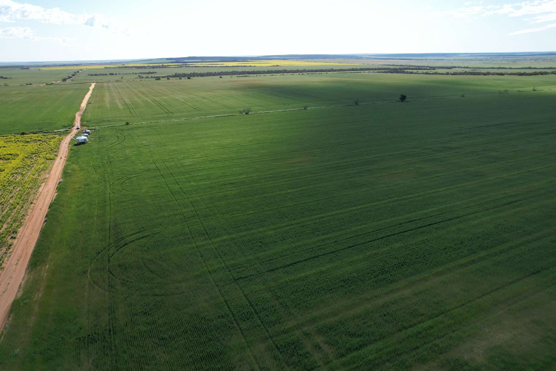 Tenindewa Williamson Road, Mullewa Sold by Farmbuy.com - image 1