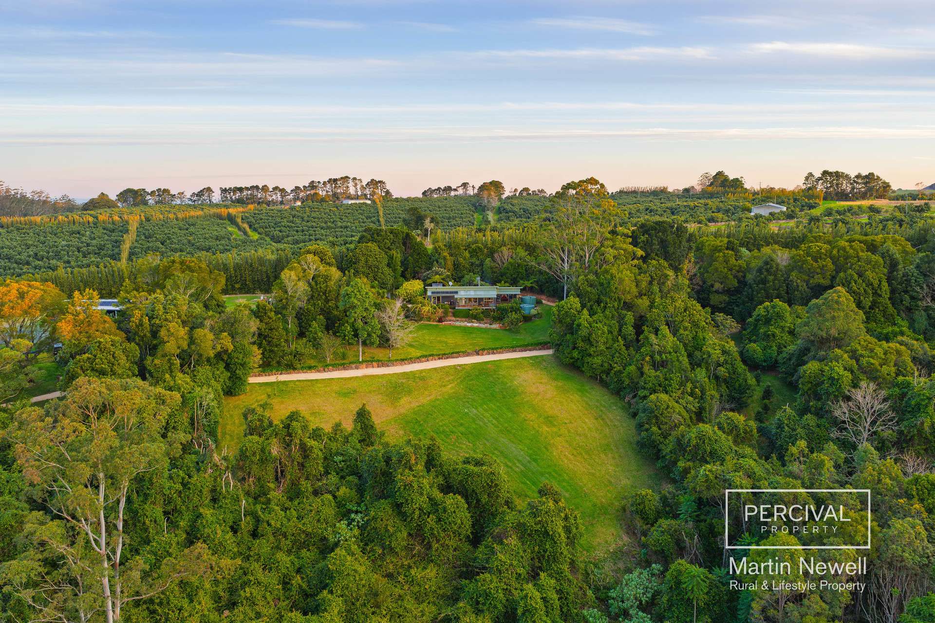 384 Playfords Road, Comboyne Sold by Farmbuy.com - image 4