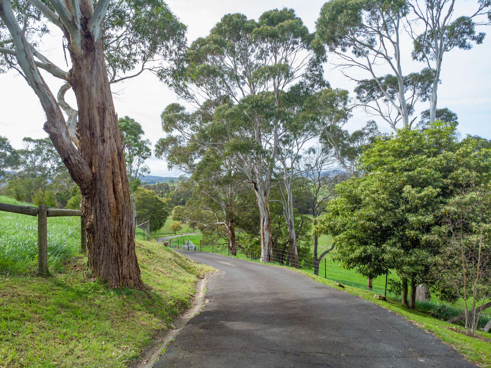 39 Porters Road, Kayena Sold by Farmbuy.com - image 31