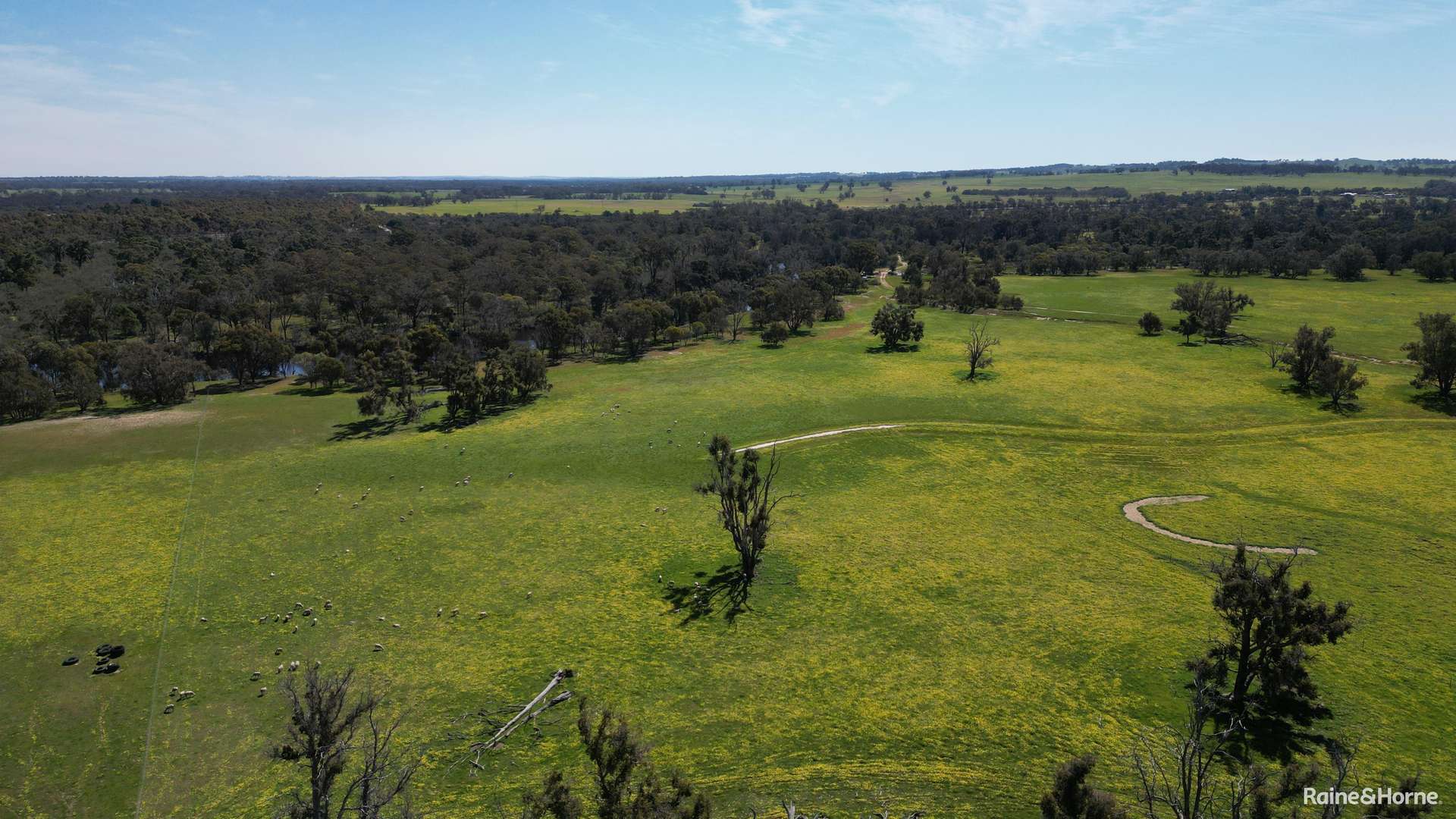 3206 Albany Highway, Kenmare Sold by Farmbuy.com - image 1