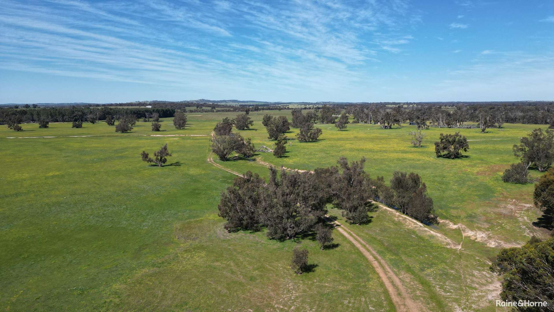 3206 Albany Highway, Kenmare Sold by Farmbuy.com - image 2