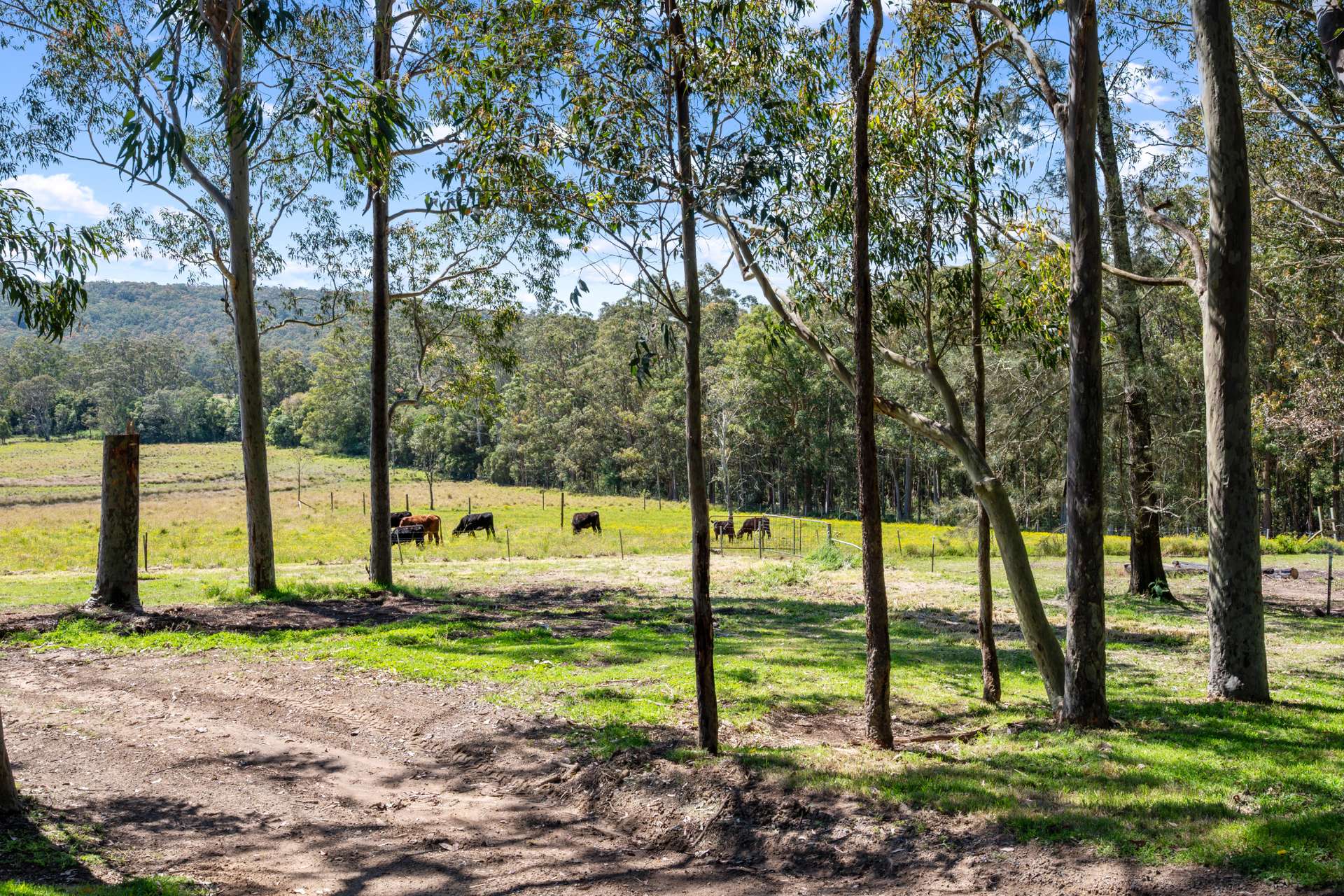 111-112 Browns Road, Mandalong Sold by Farmbuy.com - image 24
