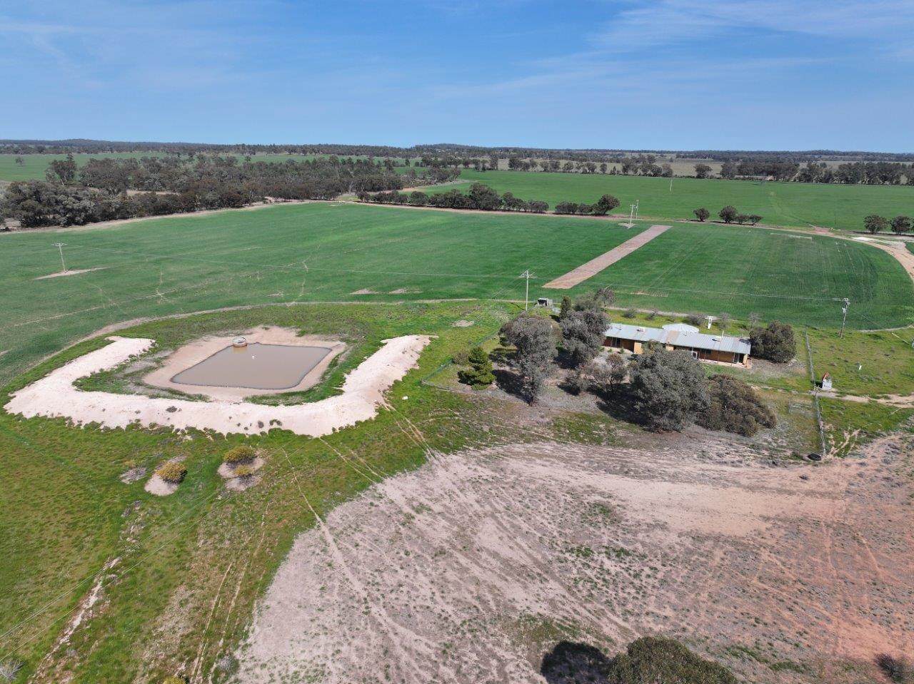 'Dundee', 122 Winters Lane, West Wyalong For Sale by Farmbuy.com - image 1