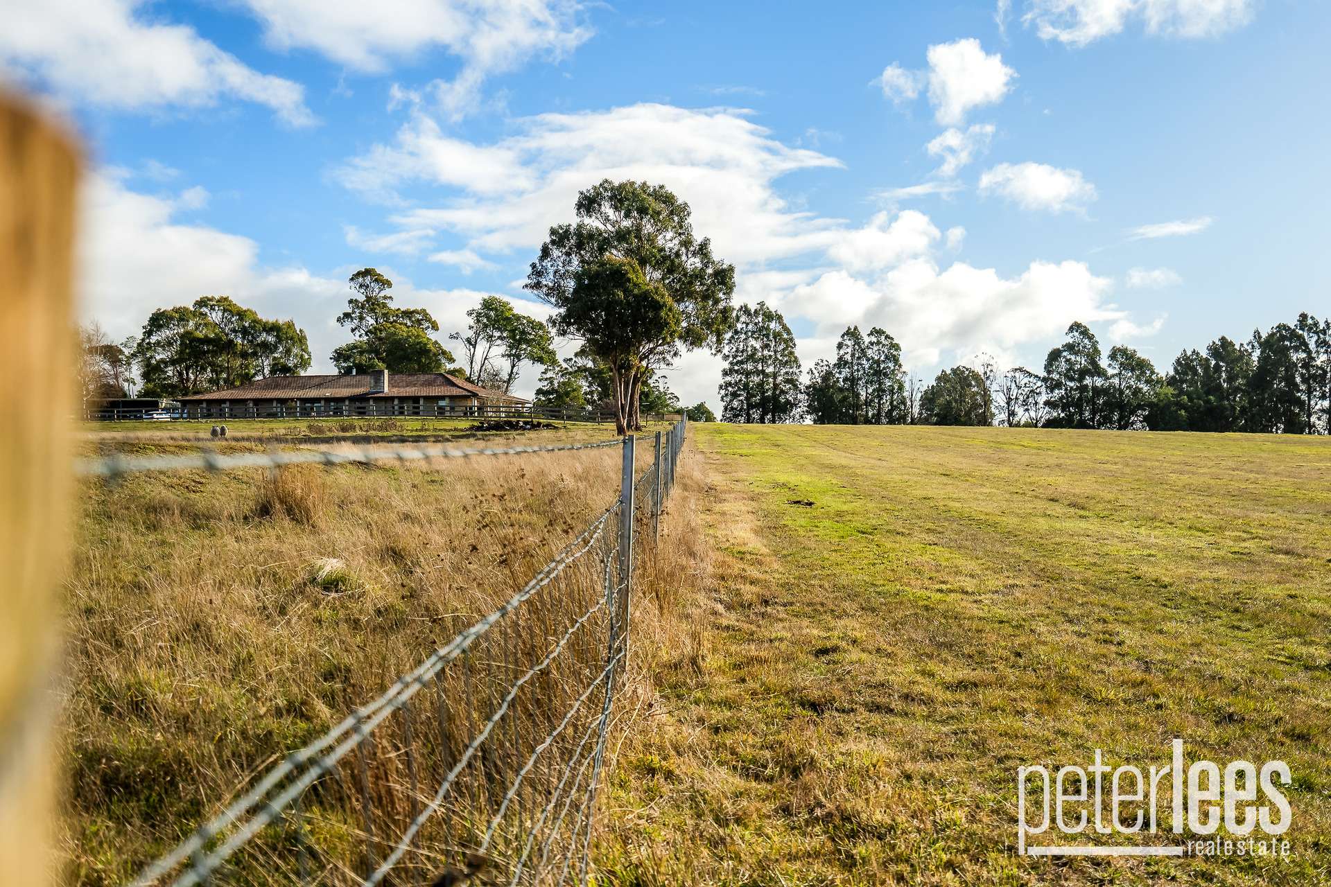 Lot 6, 258 Jones Street, Westbury For Sale by Farmbuy.com - image 2