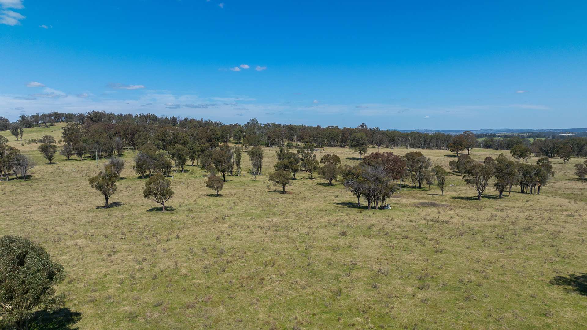 1692 Grafton Road, Armidale Sold by Farmbuy.com - image 7