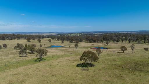 Farm Sold - NSW - Armidale - 2350 - Prime 107 Acre Lifestyle Block with Dwelling Entitlement - 17km from Armidale 