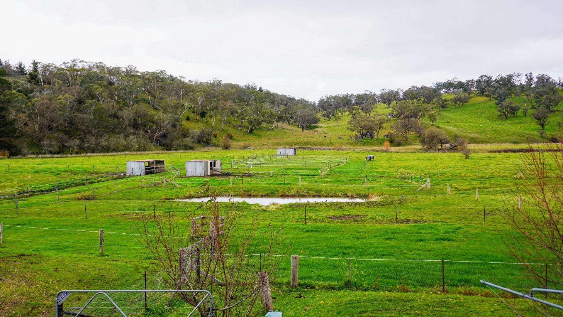 105S Derby Street, Walcha For Sale by Farmbuy.com - image 20