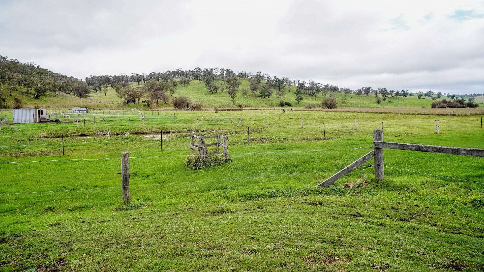 105S Derby Street, Walcha For Sale by Farmbuy.com - image 31
