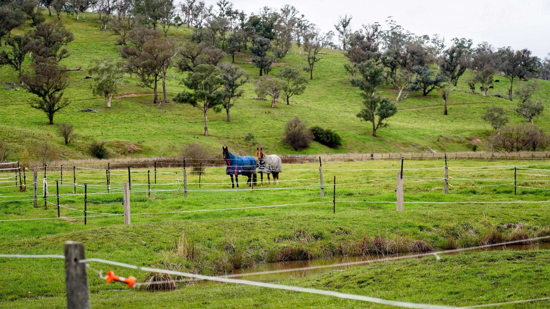 105S Derby Street, Walcha For Sale by Farmbuy.com - image 25