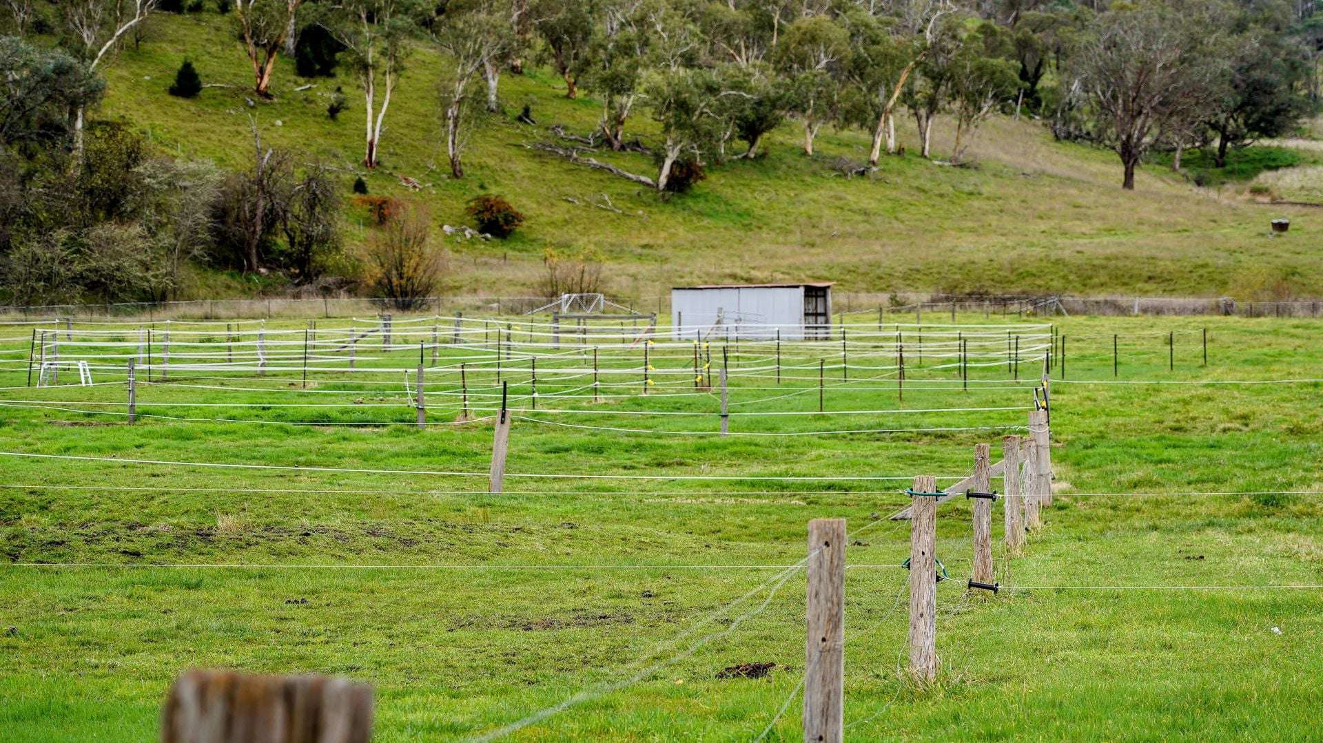 105S Derby Street, Walcha For Sale by Farmbuy.com - image 30