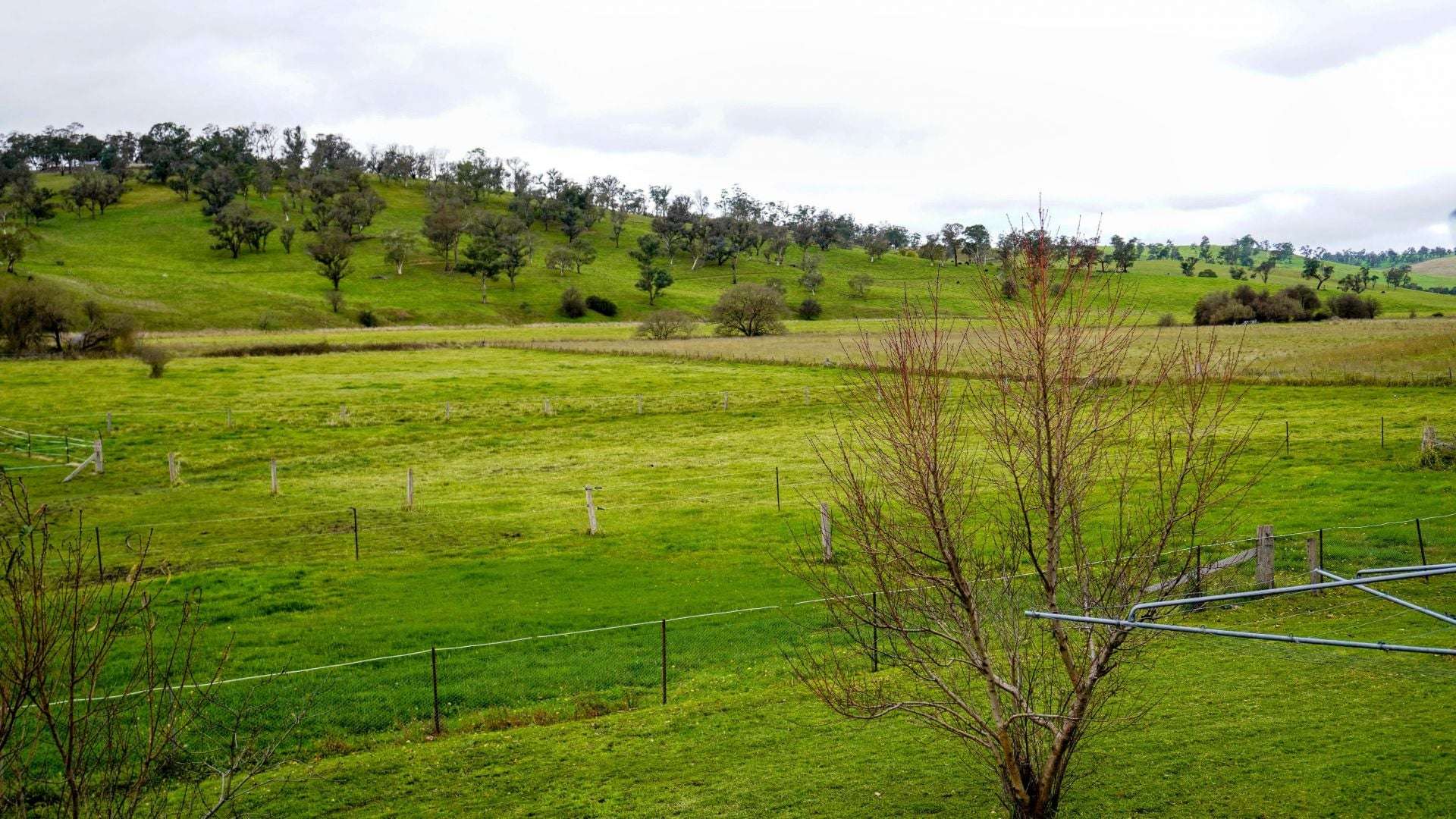 105S Derby Street, Walcha For Sale by Farmbuy.com - image 29