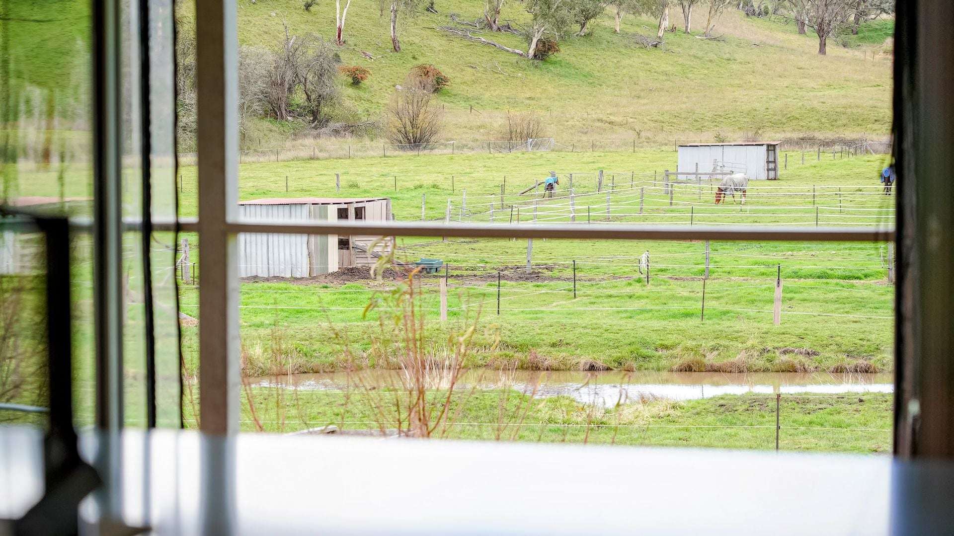 105S Derby Street, Walcha For Sale by Farmbuy.com - image 10