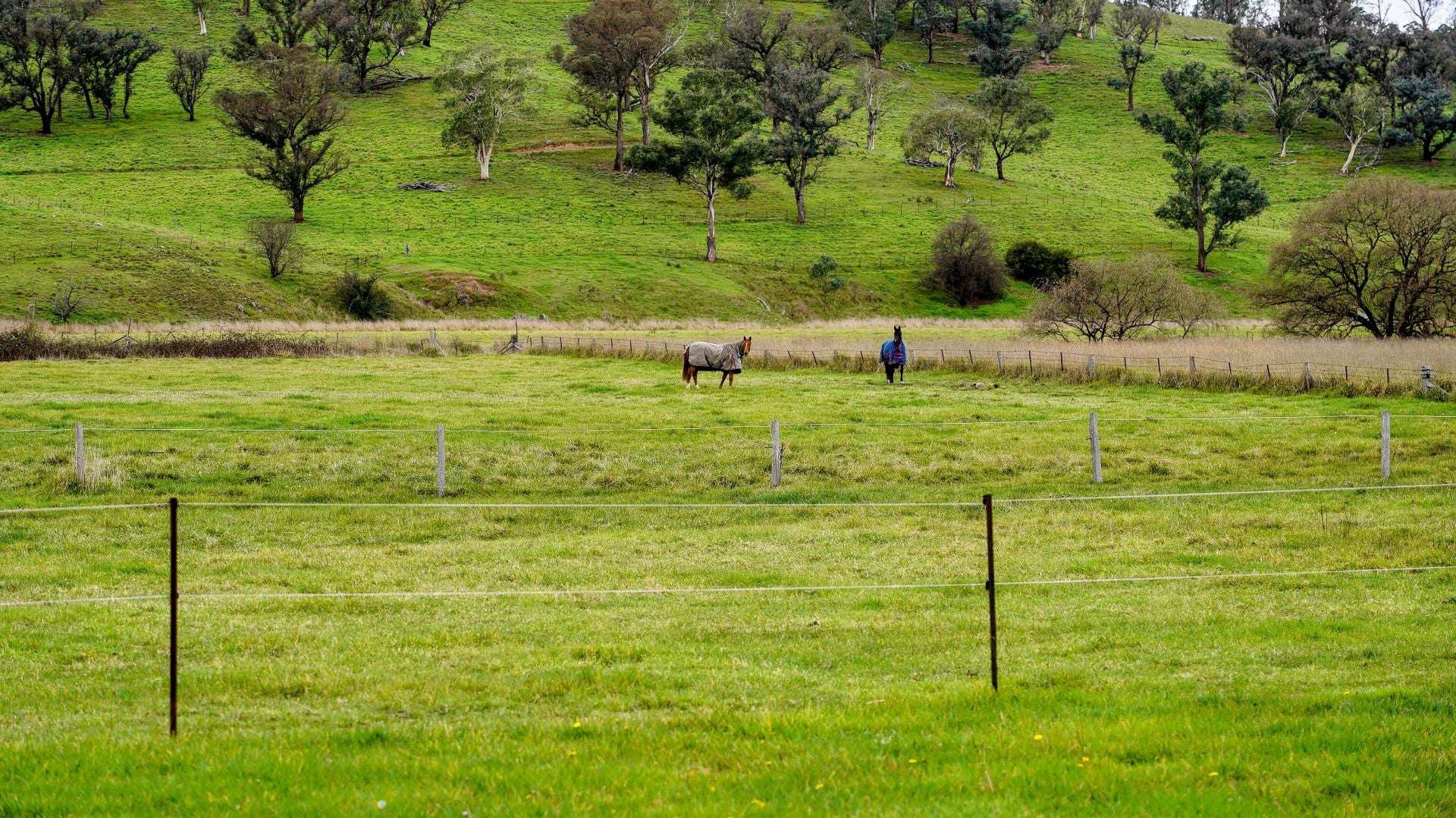 105S Derby Street, Walcha For Sale by Farmbuy.com - image 23