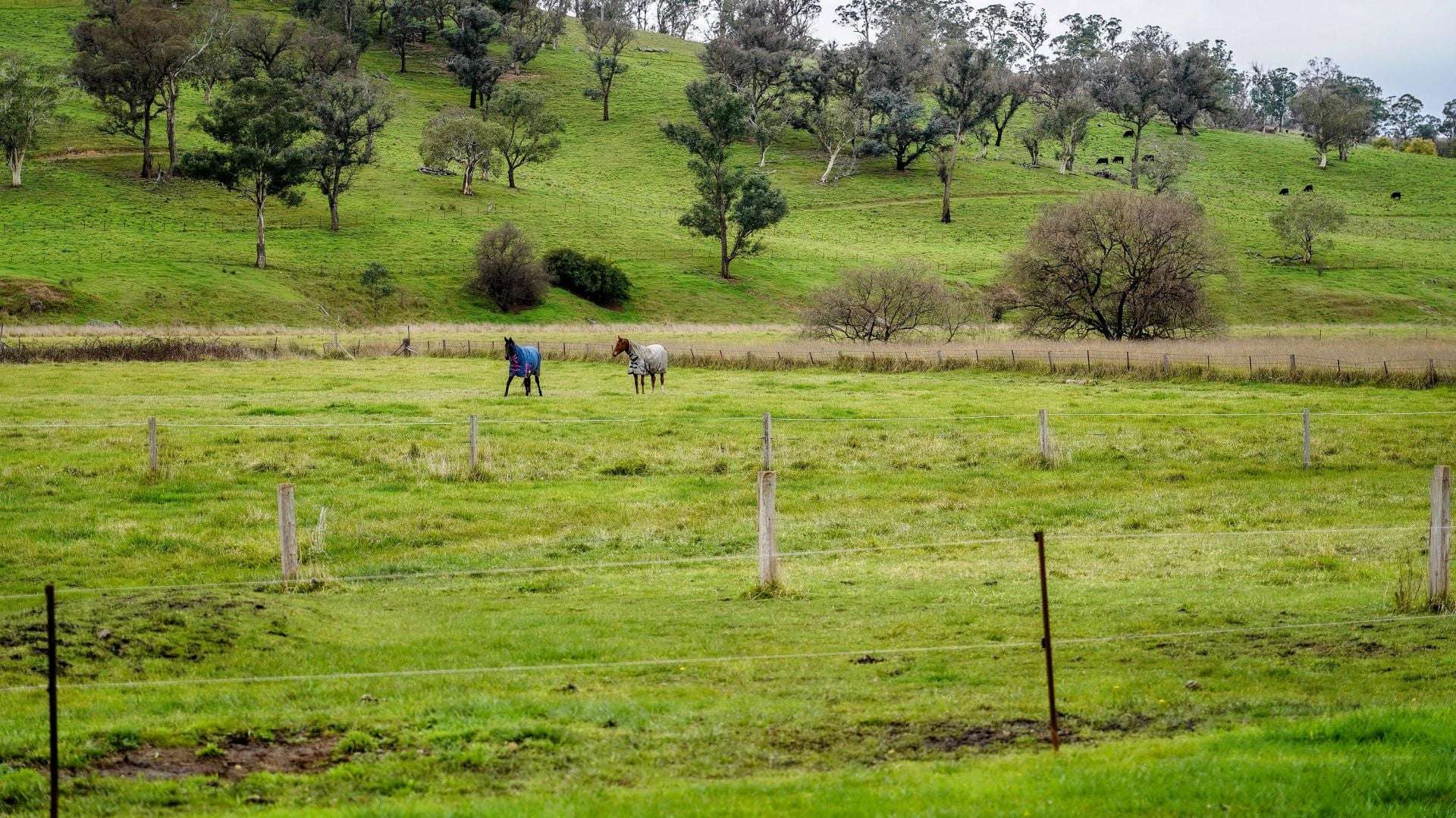 105S Derby Street, Walcha For Sale by Farmbuy.com - image 24