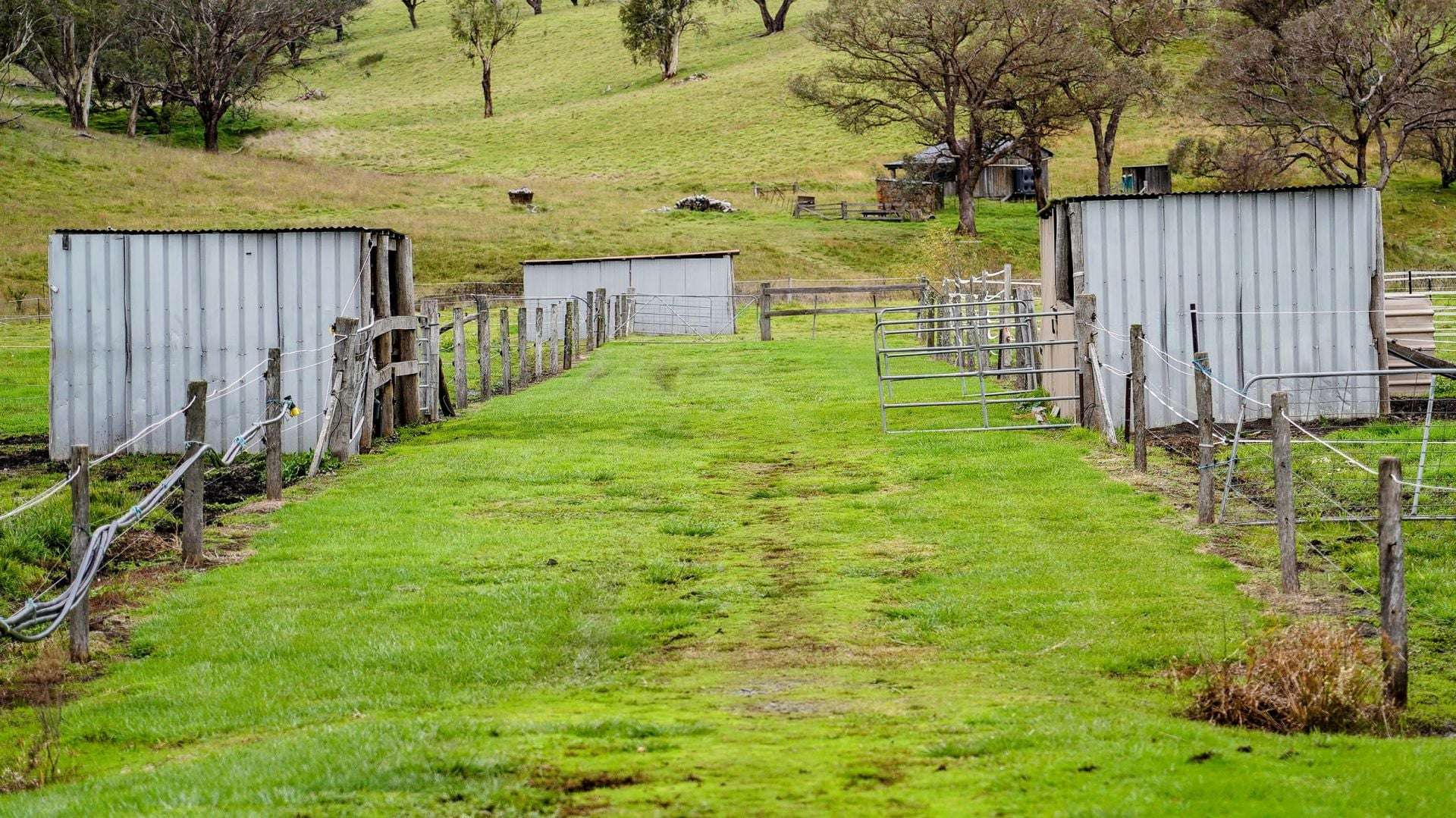 105S Derby Street, Walcha For Sale by Farmbuy.com - image 22