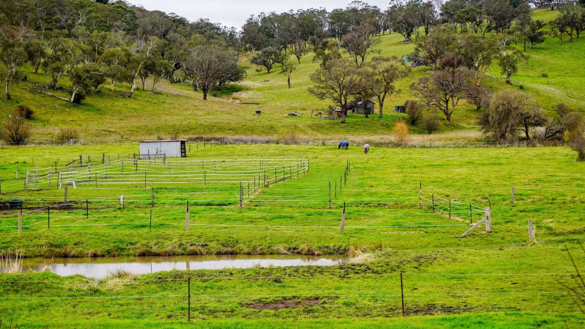 105S Derby Street, Walcha For Sale by Farmbuy.com - image 5