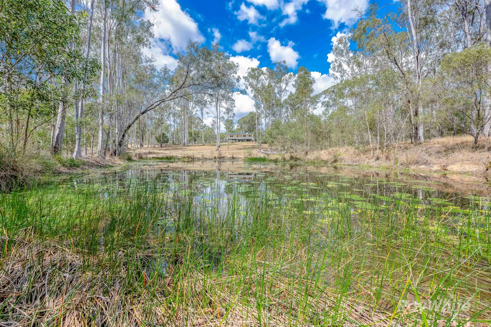 6 Myers Road, Moolboolaman Sold by Farmbuy.com - image 23