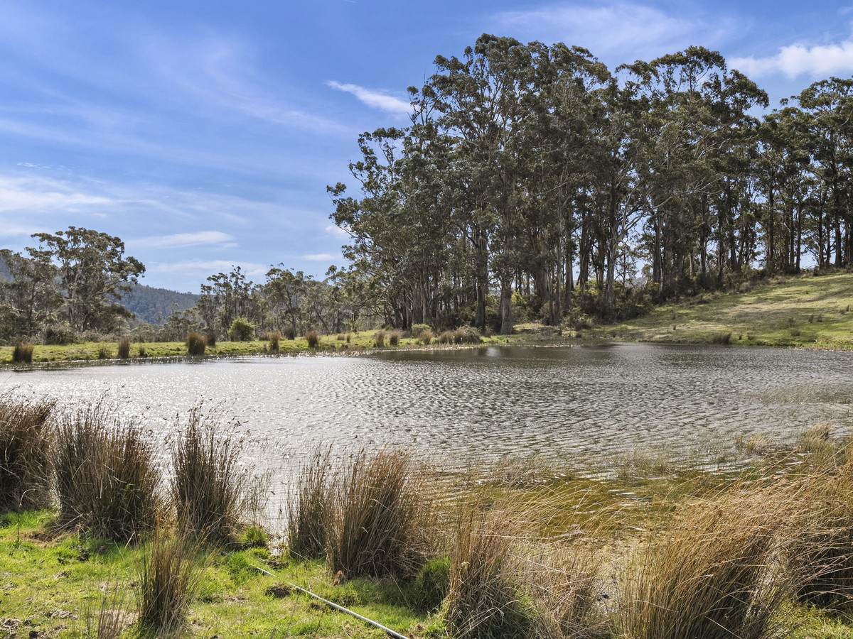 406 Kellevie Road, Kellevie For Sale by Farmbuy.com - image 20