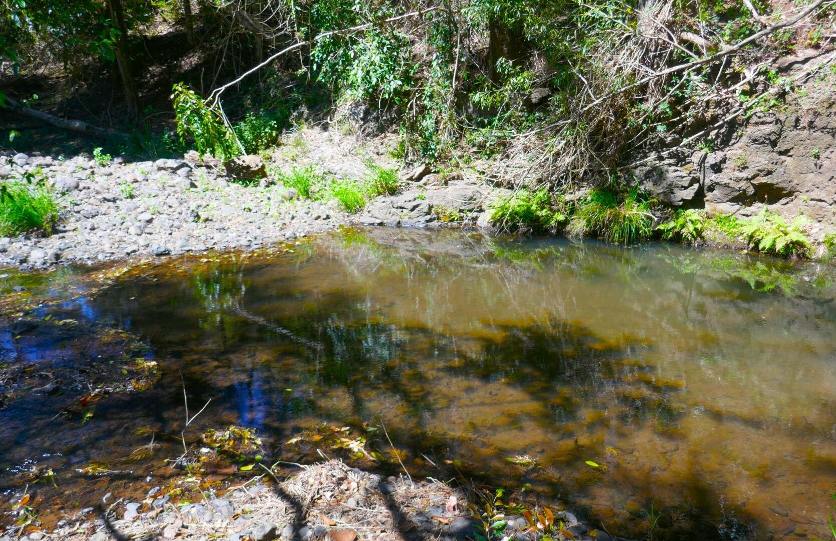 Lot 8 O'Donnell Creek Road, Kyogle Sold by Farmbuy.com - floorplan 1