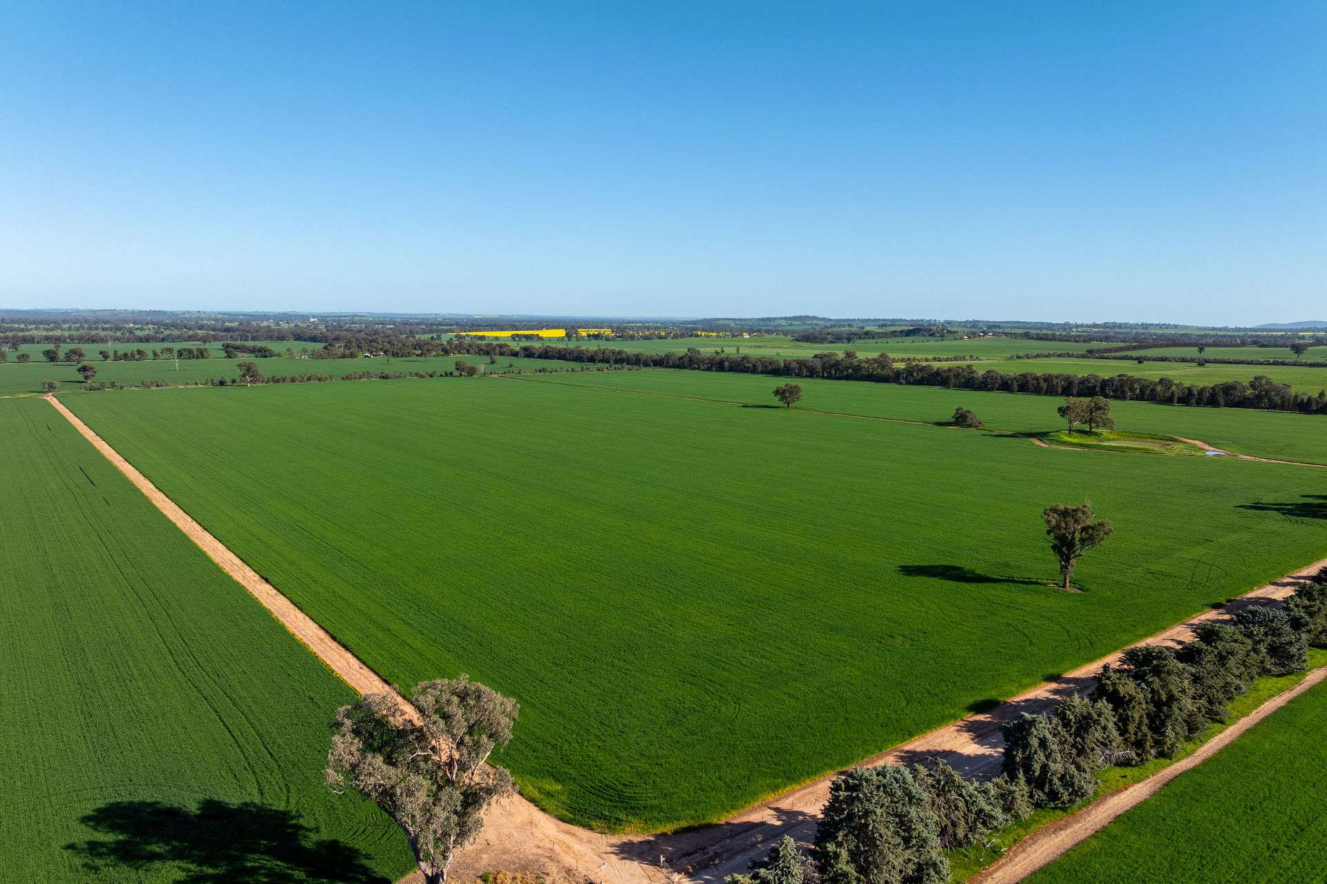 484 Merri Meric Road, Henty For Sale by Farmbuy.com - image 24