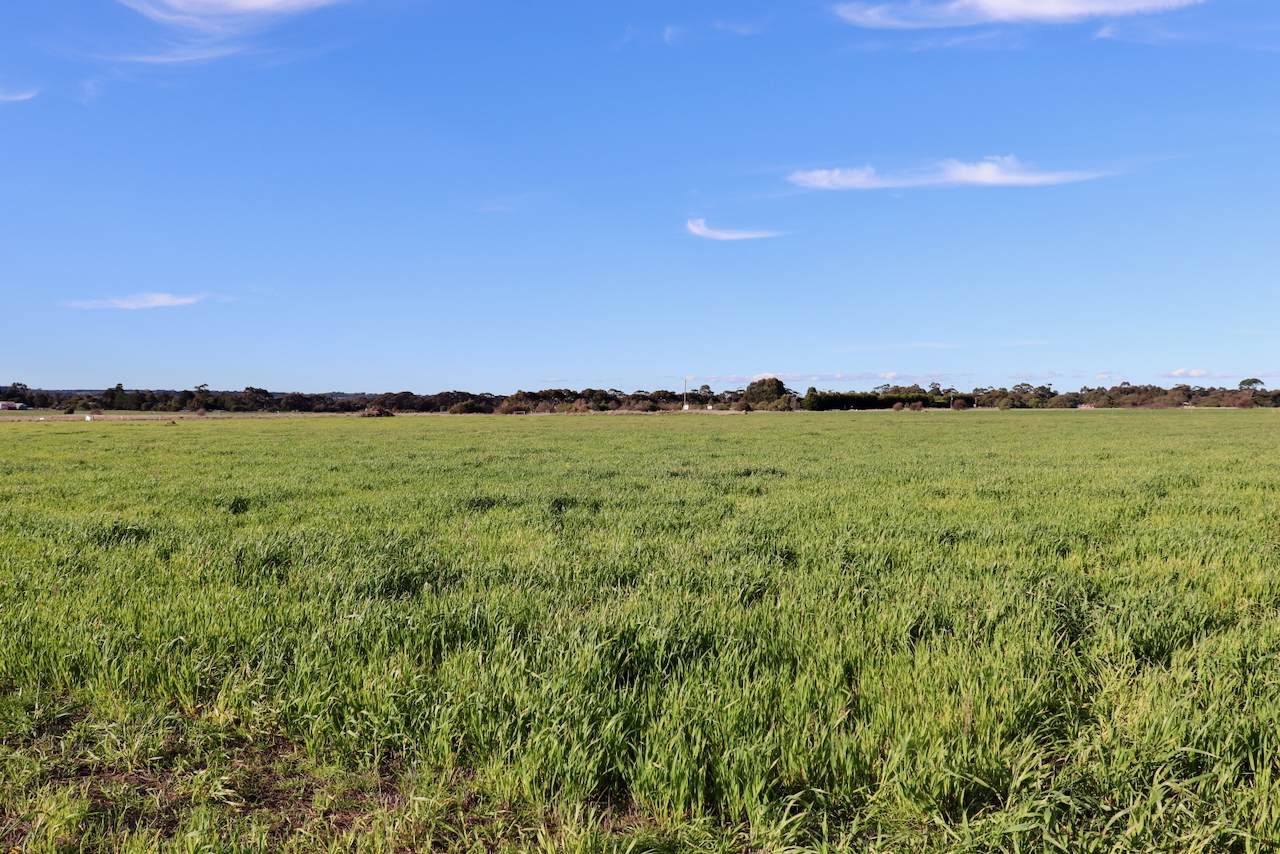 Lot 1, 2, 3 &, 4 COLAC-BALLARAT ROAD, Rokewood For Sale by Farmbuy.com - image 7