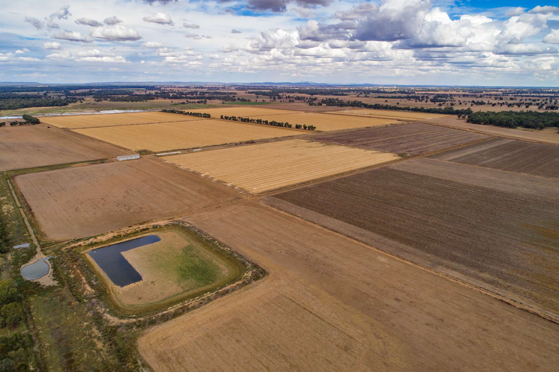 4005 Lachlan Valley Way, Forbes For Sale by Farmbuy.com - image 17