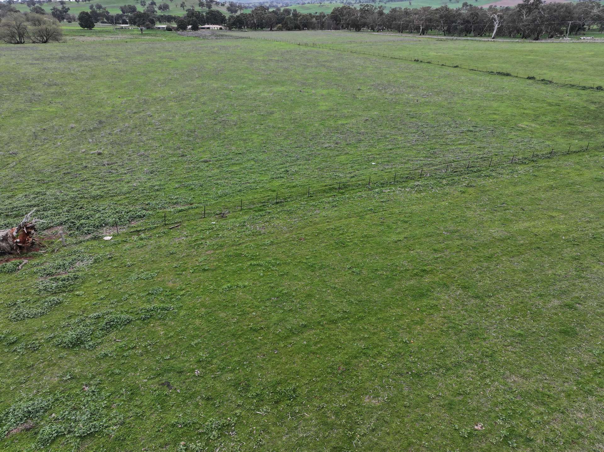 1471 & 1557 Muttama Road, Muttama Sold by Farmbuy.com - image 11
