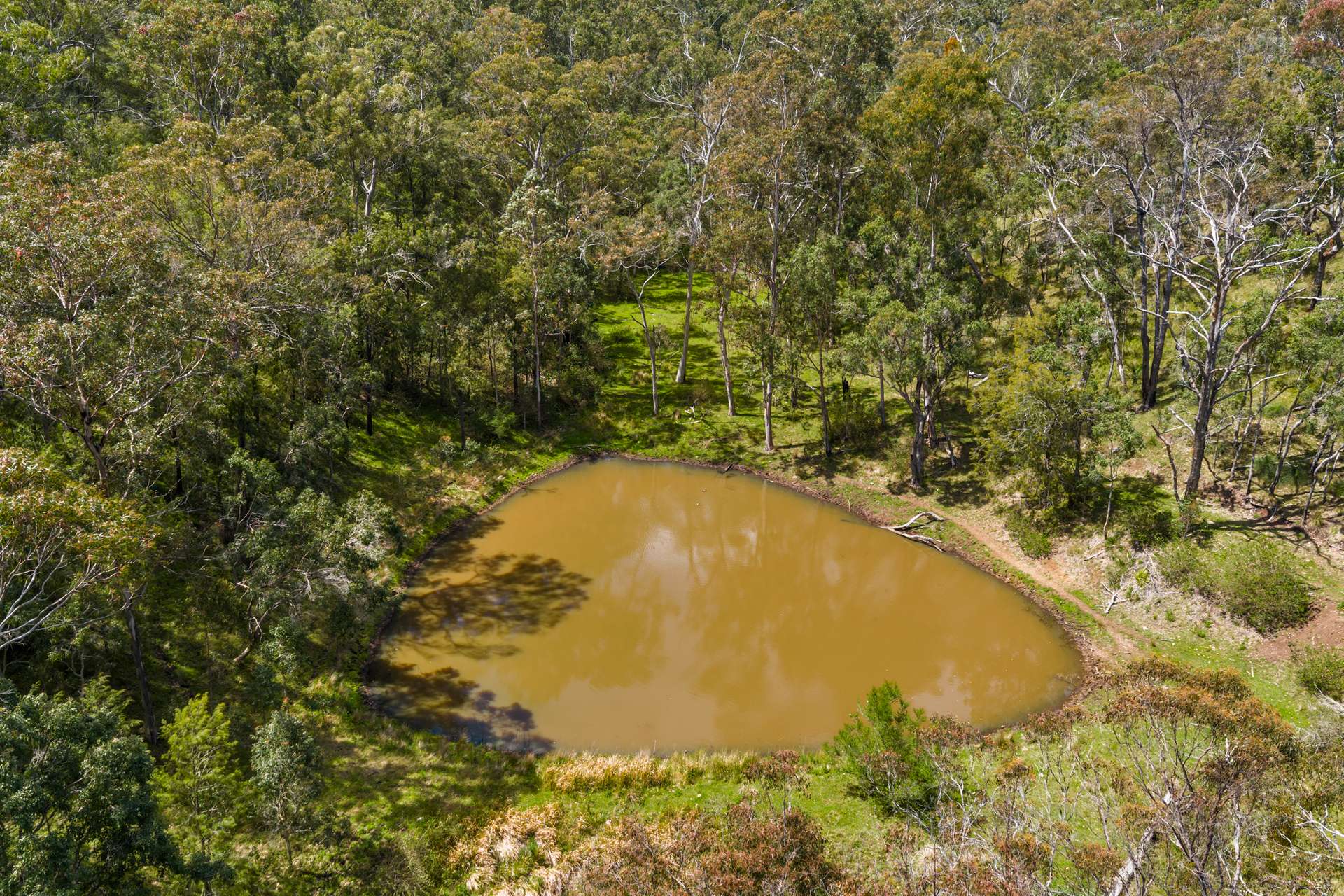 'Yabragunyah' Pilton Valley Road, Upper Pilton For Sale by Farmbuy.com - image 12