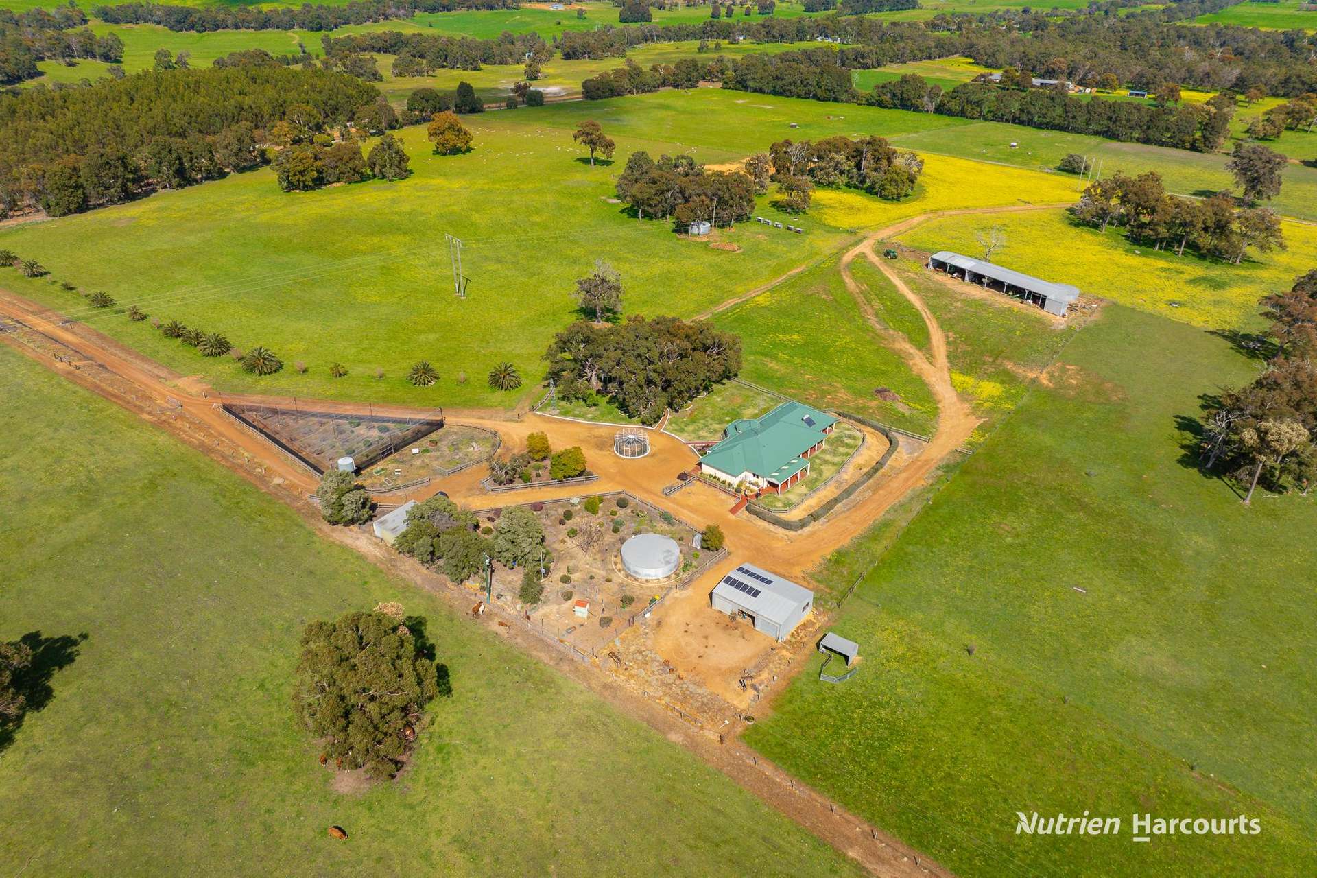 279 Giumelli Road, Henty For Sale by Farmbuy.com - image 5