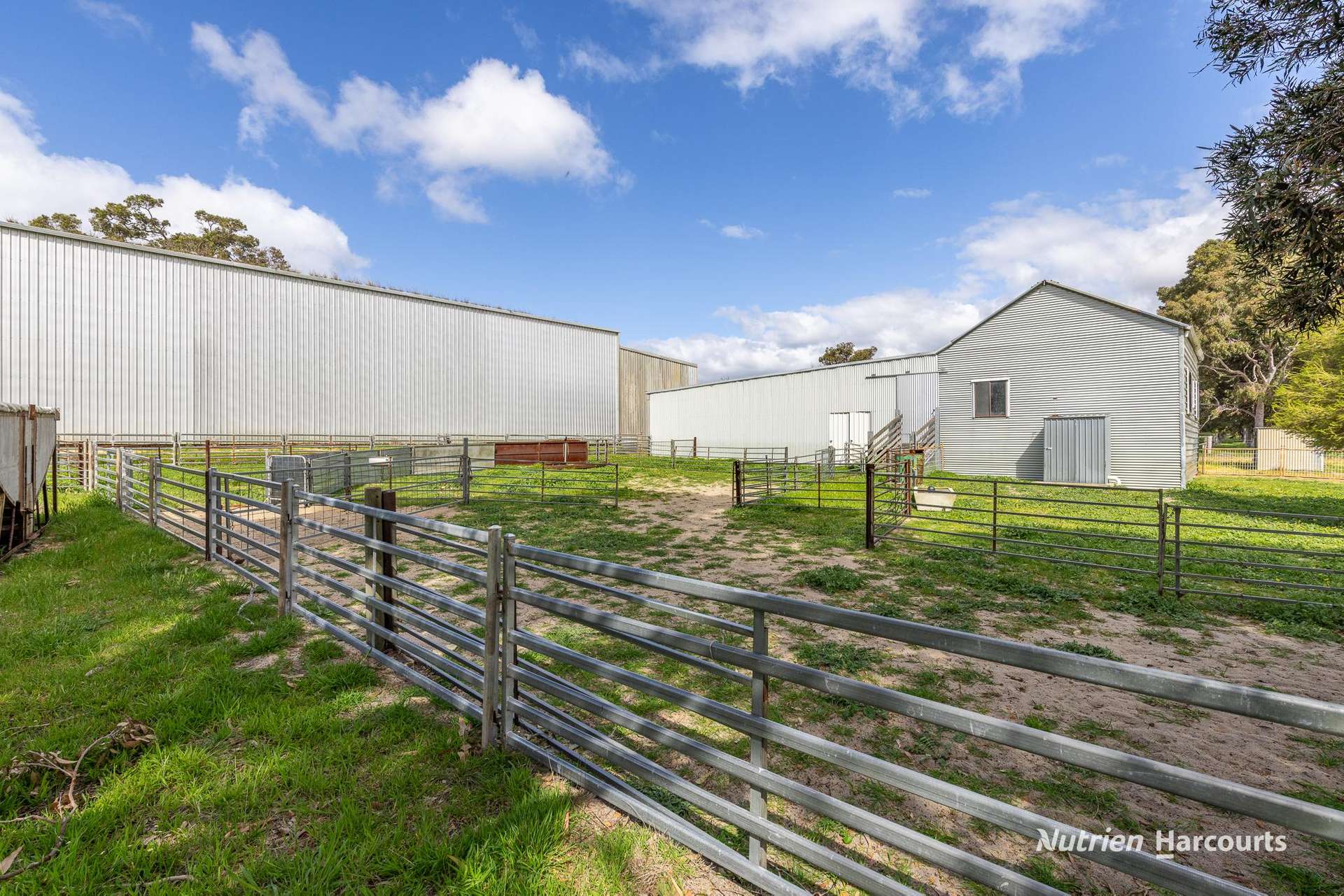 279 Giumelli Road, Henty For Sale by Farmbuy.com - image 15