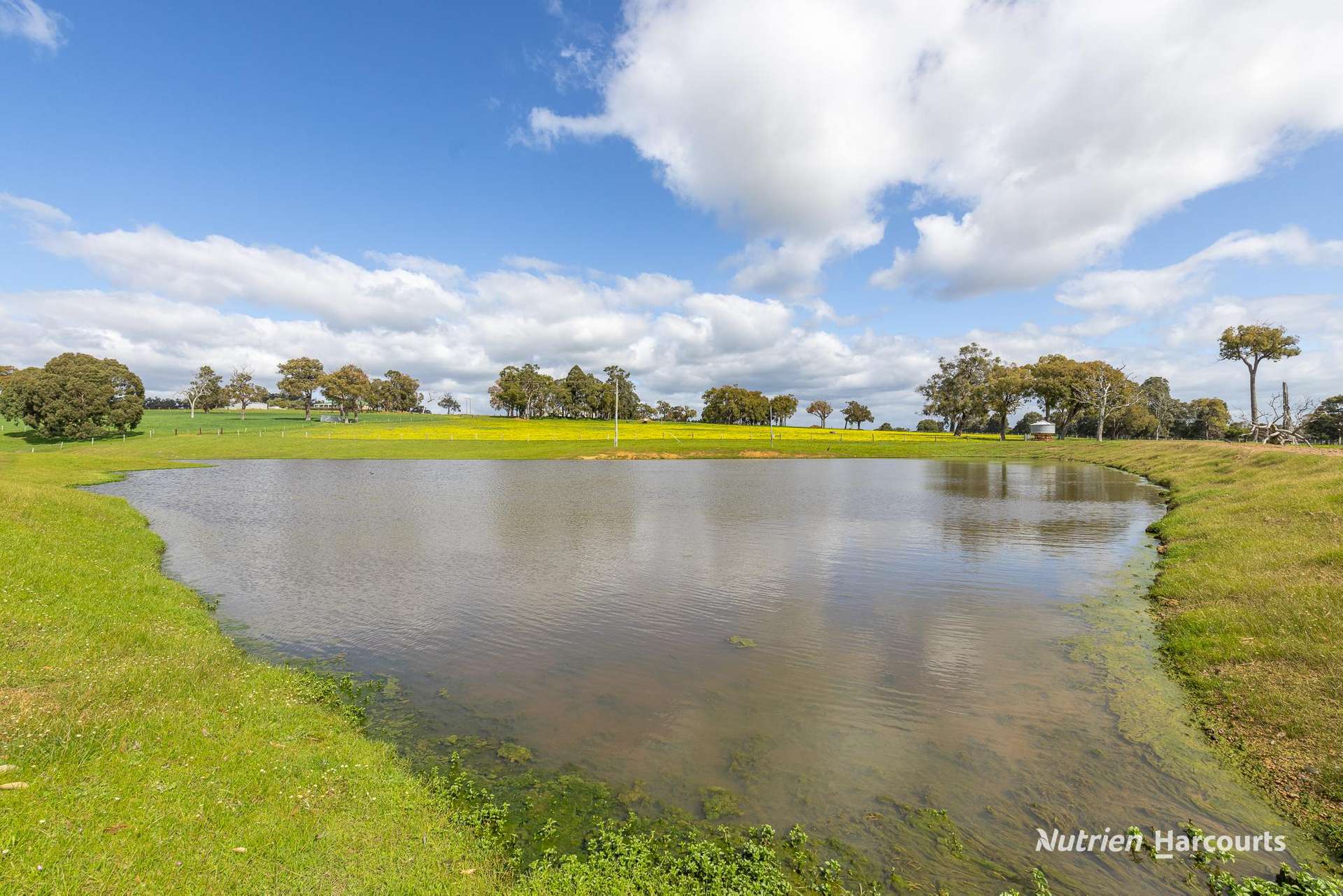 279 Giumelli Road, Henty For Sale by Farmbuy.com - image 19