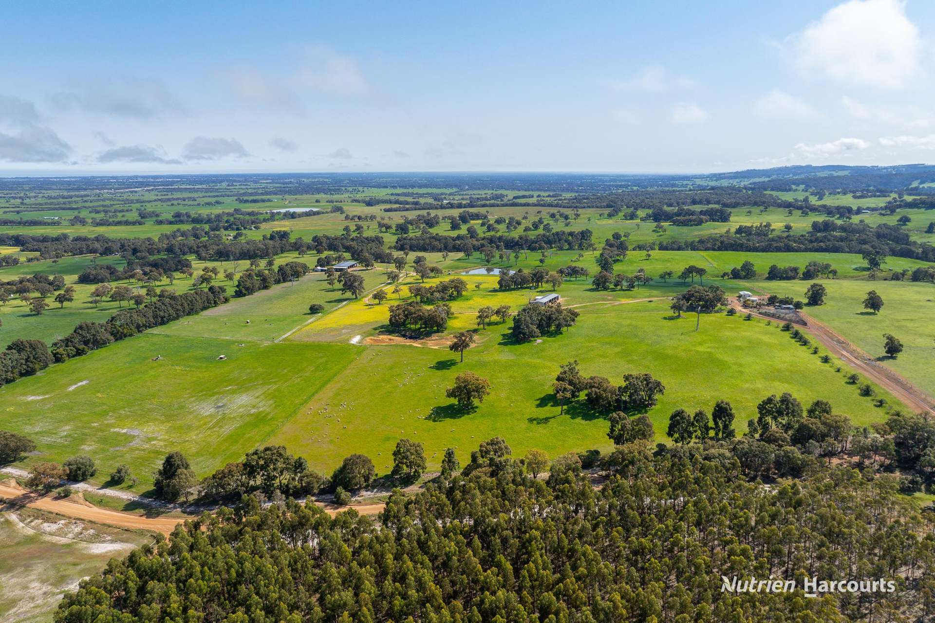 279 Giumelli Road, Henty For Sale by Farmbuy.com - image 6