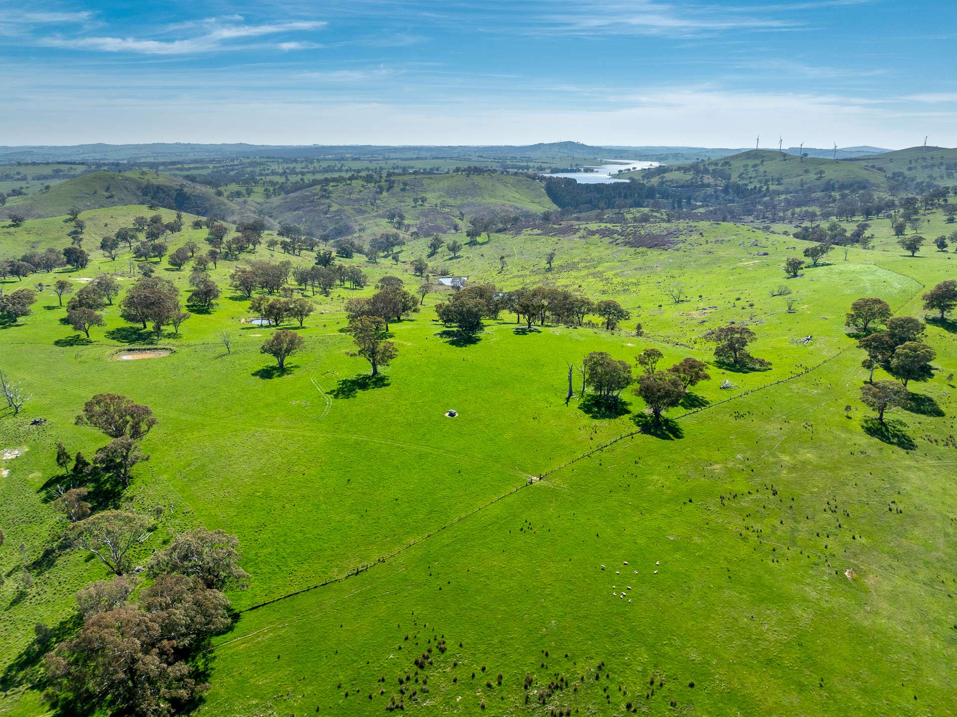 321 Mount Macquarie Road, Carcoar Sold by Farmbuy.com - image 1