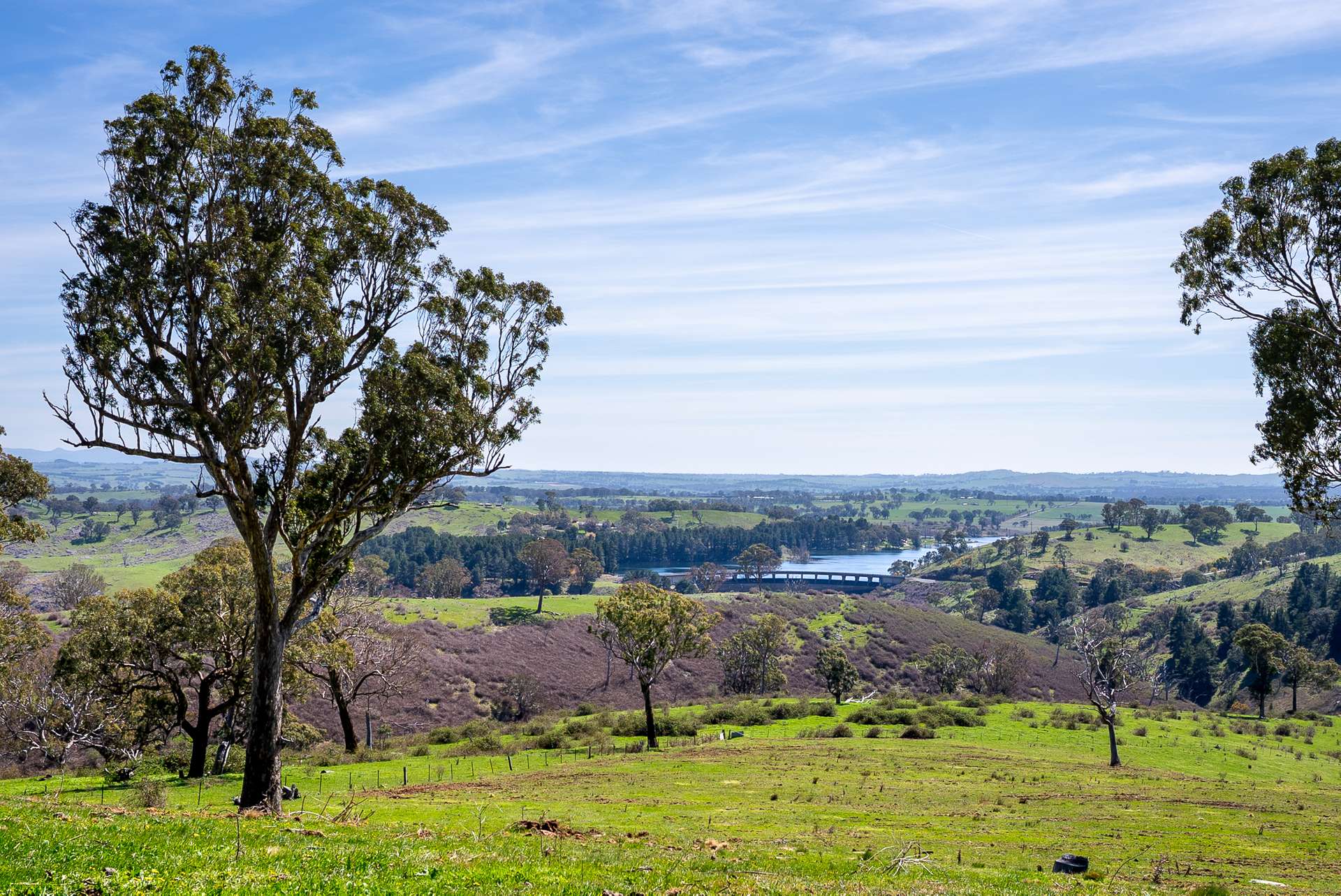 321 Mount Macquarie Road, Carcoar Sold by Farmbuy.com - image 18
