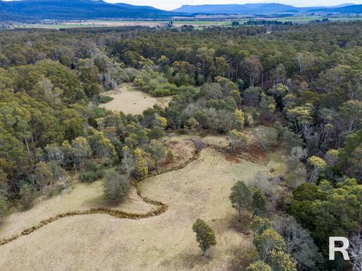 Farm For Sale - TAS - Gray - 7215 - Pasture, Bush, Water & Wood 