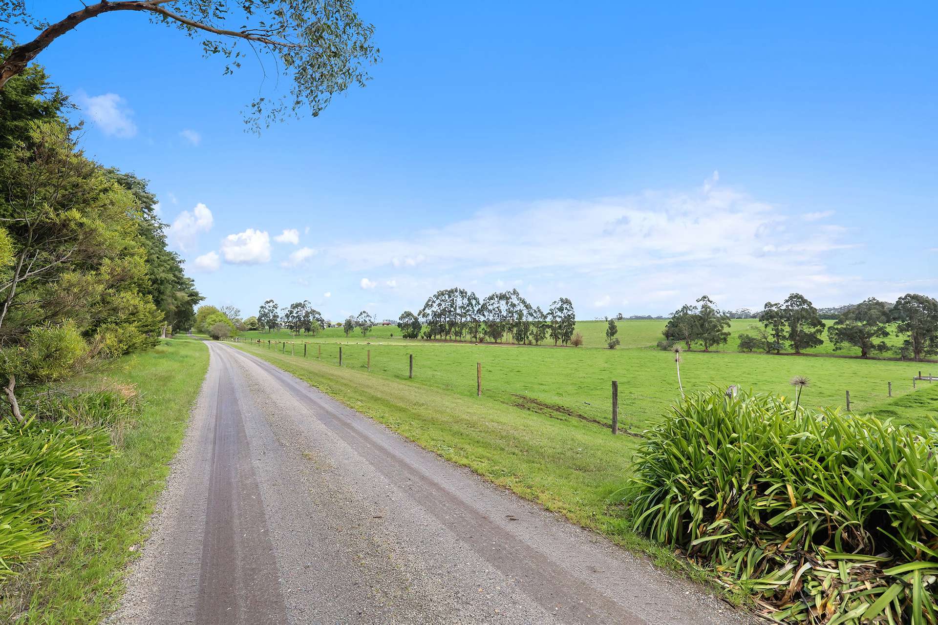 320 Simpson Road, Lardner Sold by Farmbuy.com - image 30