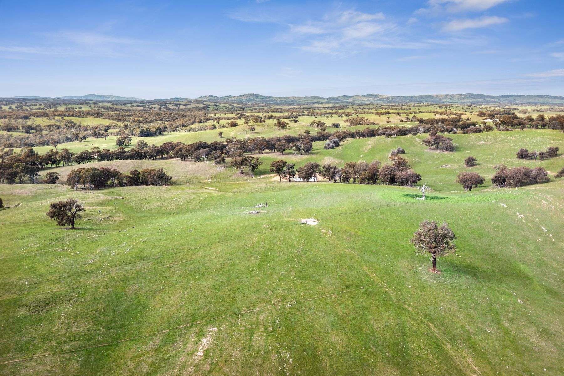 Parcels A & B Heathcote-Springs Plains & Wild Duck Roads, Mia Mia For Sale by Farmbuy.com - image 12