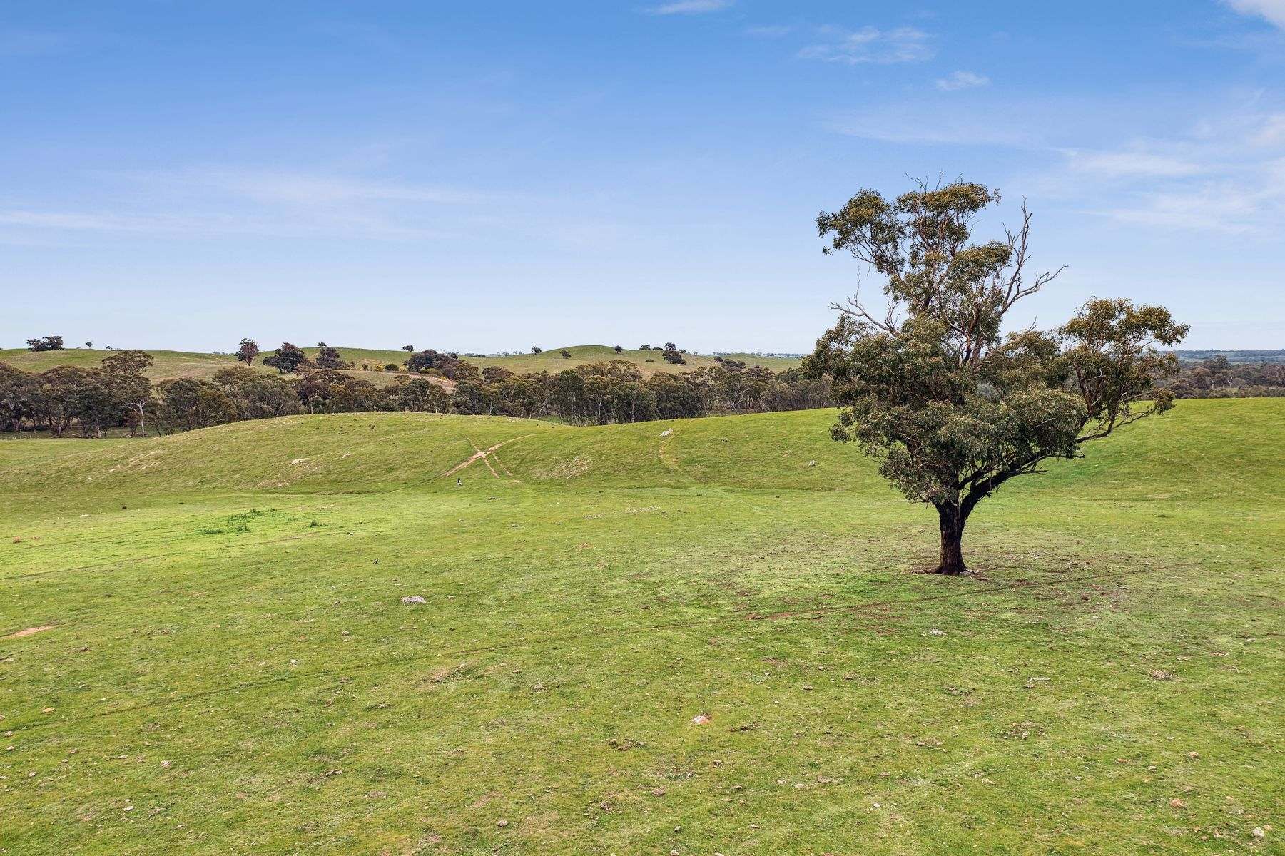 Parcels A & B Heathcote-Springs Plains & Wild Duck Roads, Mia Mia For Sale by Farmbuy.com - image 23