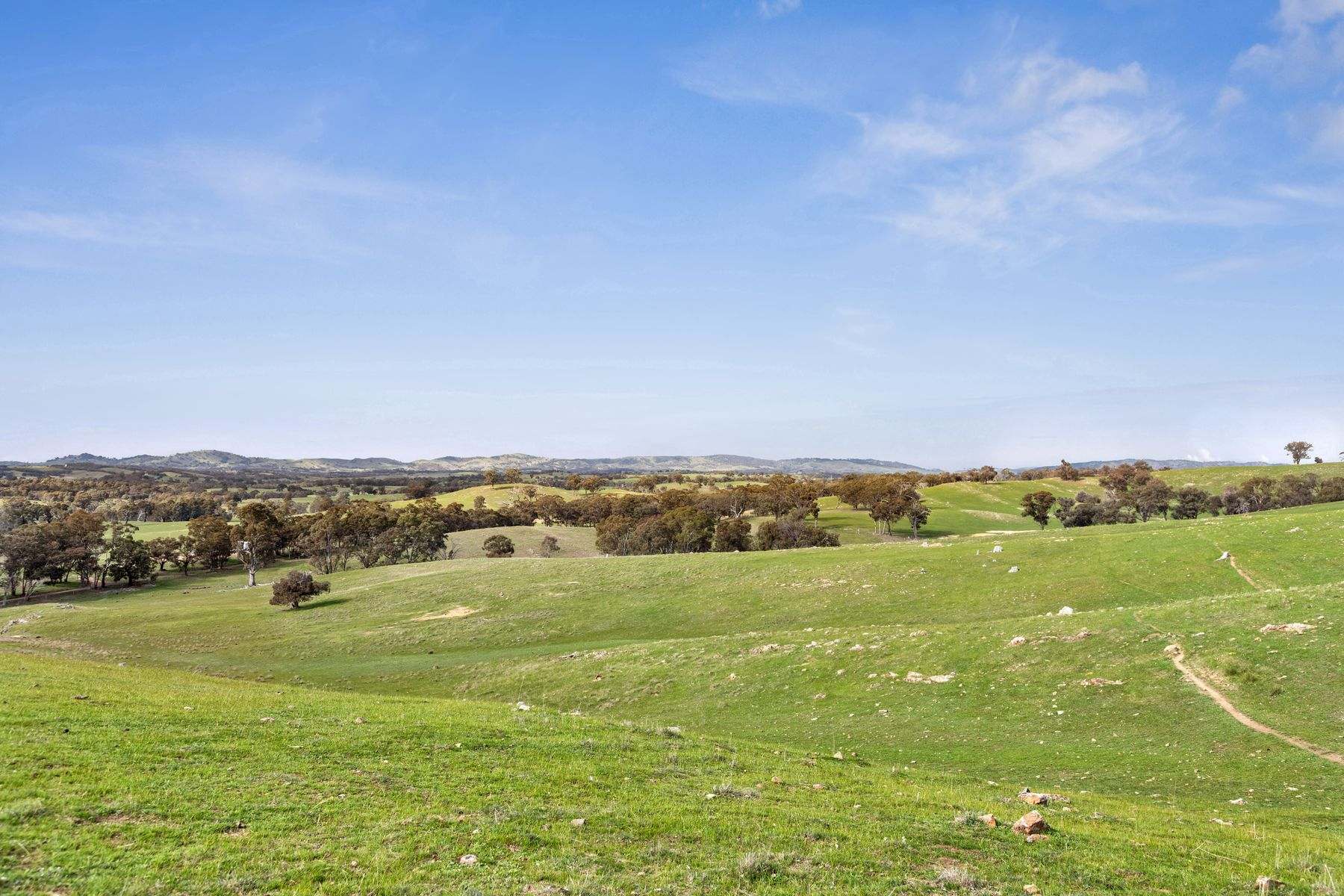 Parcel A Heathcote-Springs Plains & Wild Duck Road, Mia Mia For Sale by Farmbuy.com - image 7