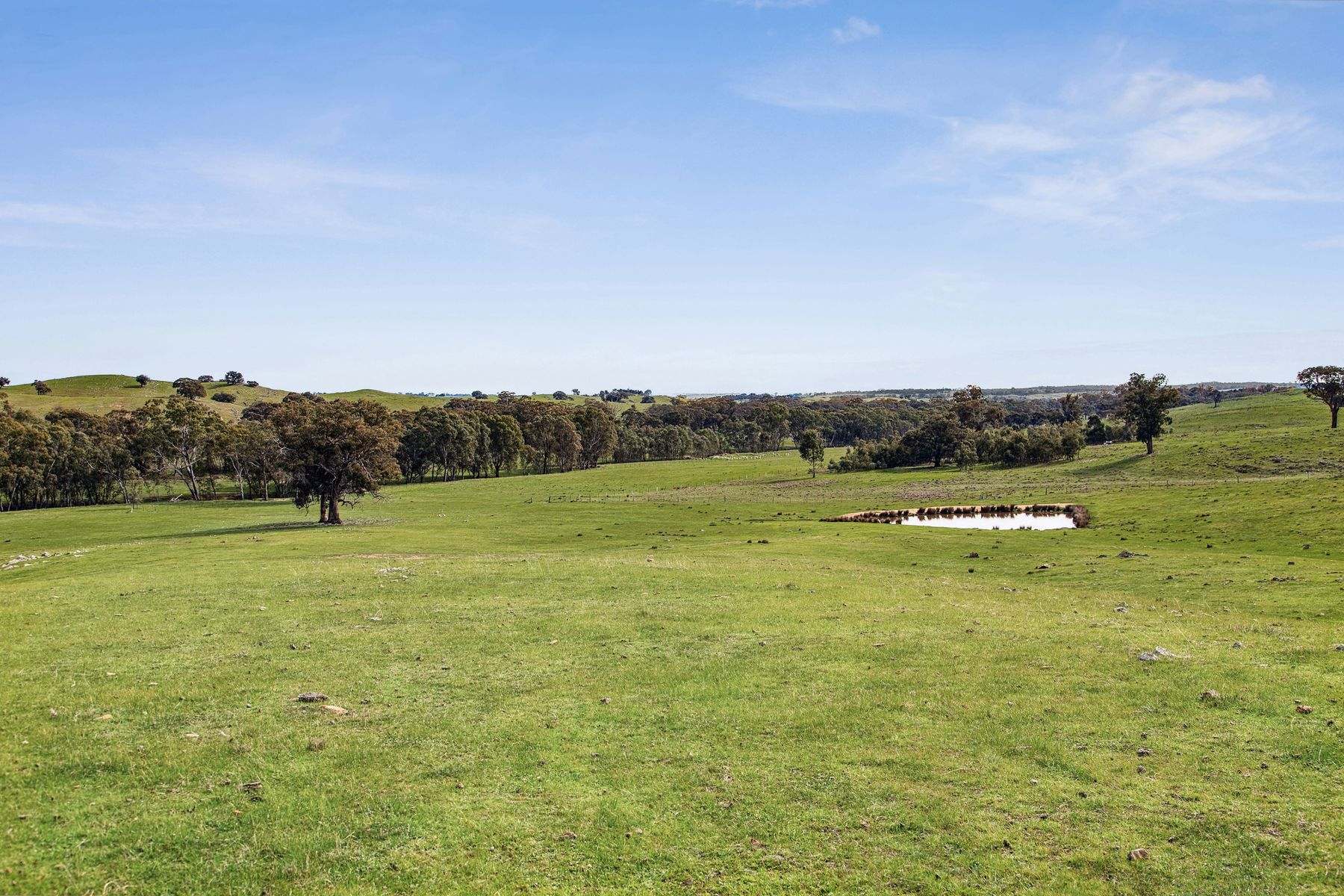 Parcel A Heathcote-Springs Plains & Wild Duck Road, Mia Mia For Sale by Farmbuy.com - image 9