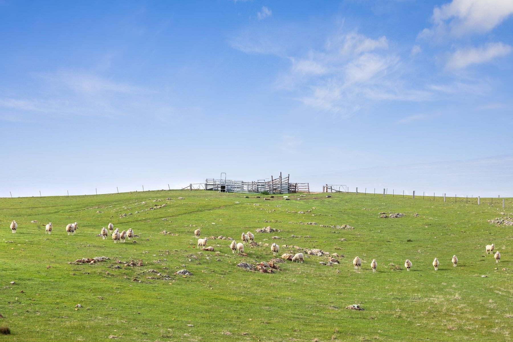 Parcel B Heathcote-Springs Plains & Wild Duck Roads, Mia Mia For Sale by Farmbuy.com - image 4