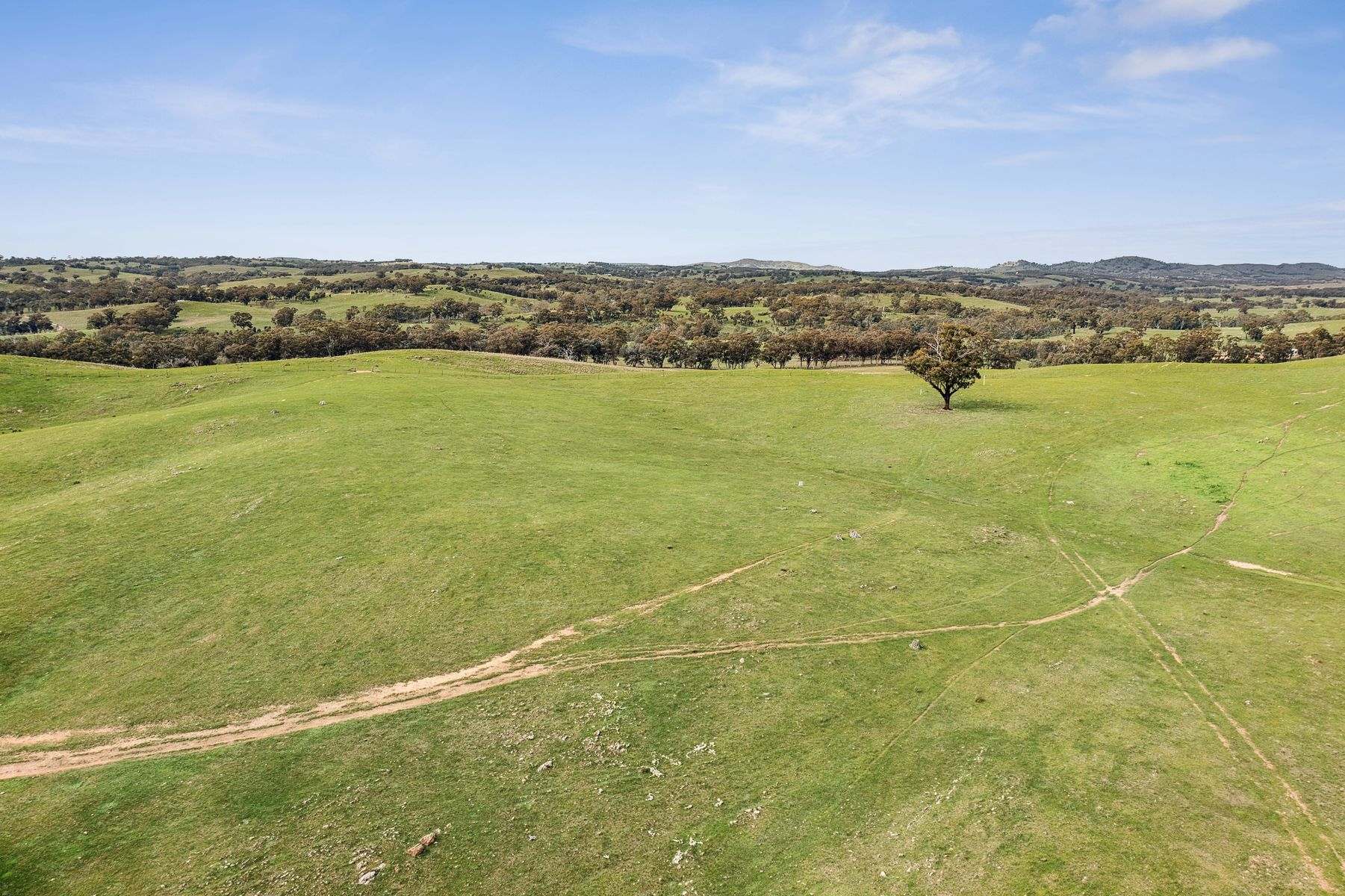 Parcel B Heathcote-Springs Plains & Wild Duck Roads, Mia Mia For Sale by Farmbuy.com - image 15