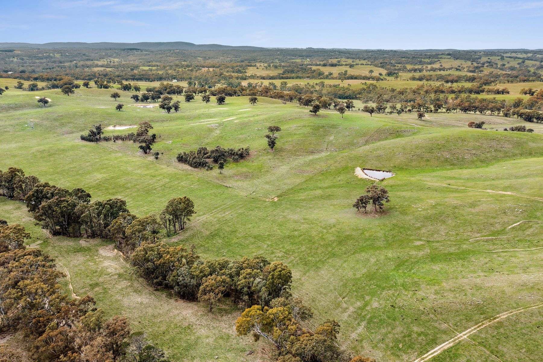 Parcel B Heathcote-Springs Plains & Wild Duck Roads, Mia Mia For Sale by Farmbuy.com - image 3
