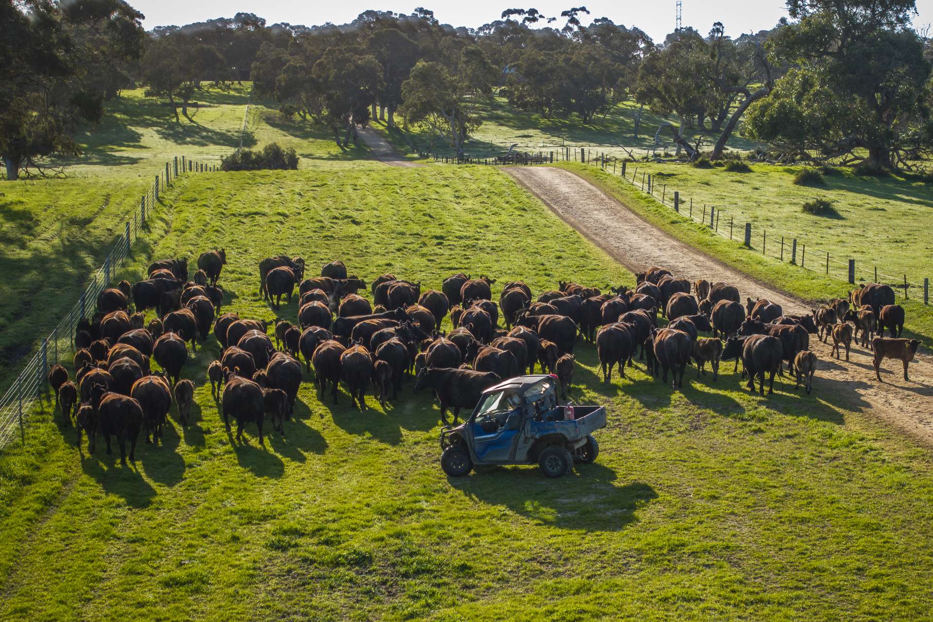 325 Maranoa Downs Road, Stewart Range For Sale by Farmbuy.com - image 18