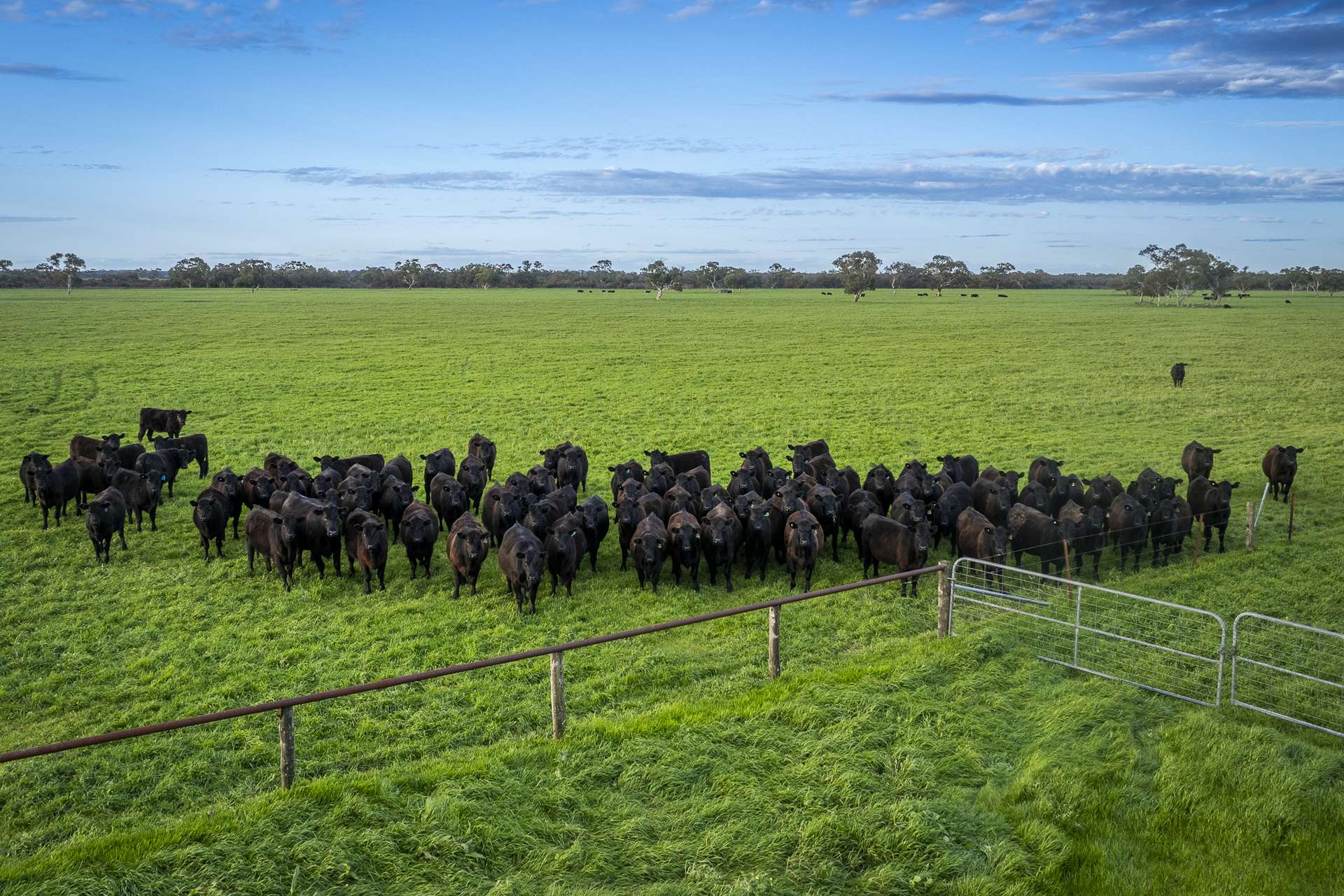 325 Maranoa Downs Road, Stewart Range For Sale by Farmbuy.com - image 12