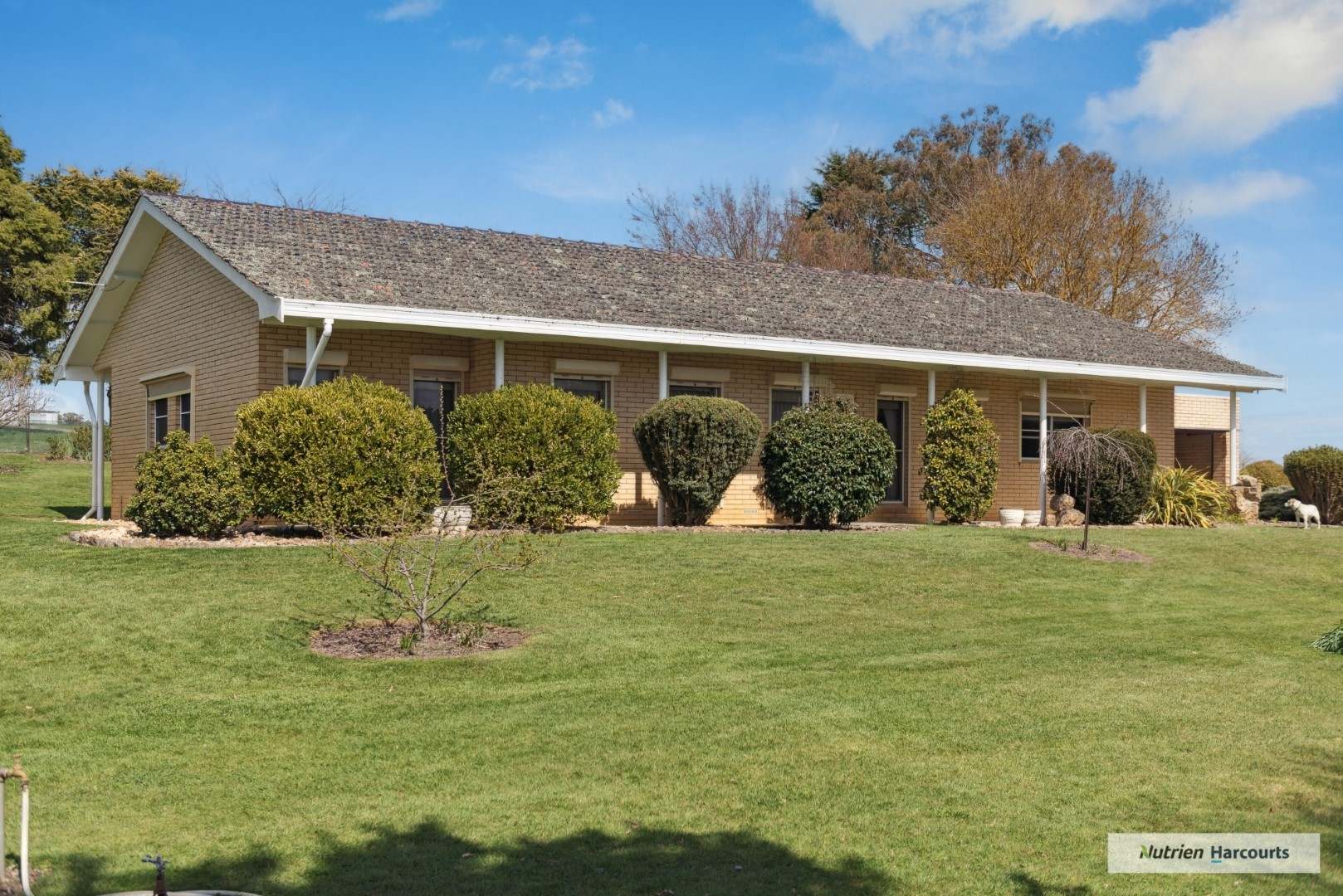 179 Boathole Road, Ruffy Sold by Farmbuy.com - image 7