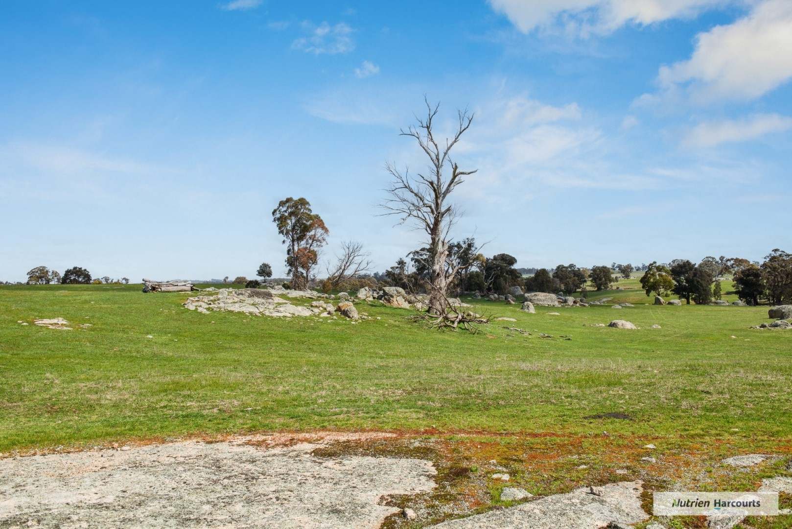 179 Boathole Road, Ruffy Sold by Farmbuy.com - image 18