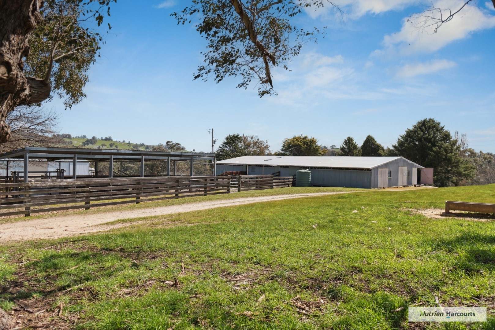 179 Boathole Road, Ruffy Sold by Farmbuy.com - image 4