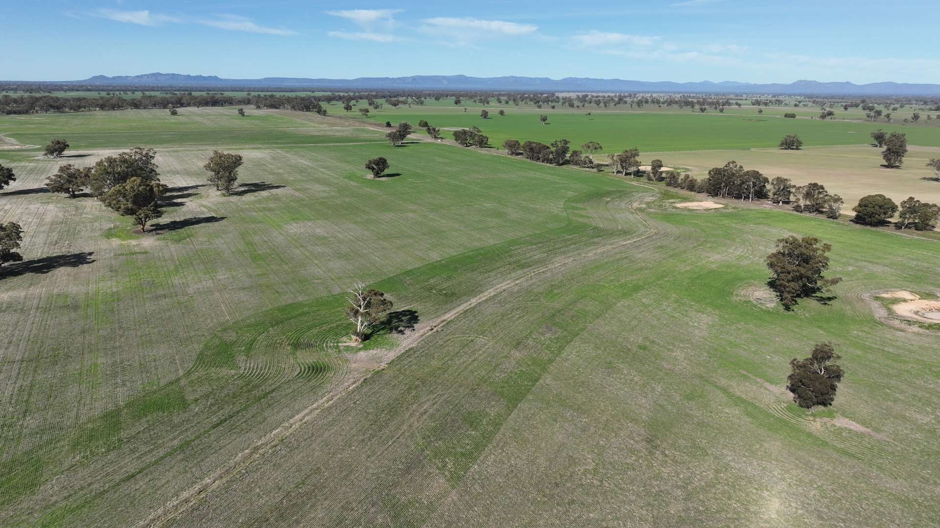 2822 Henty Highway, Wonwondah Sold by Farmbuy.com - image 8